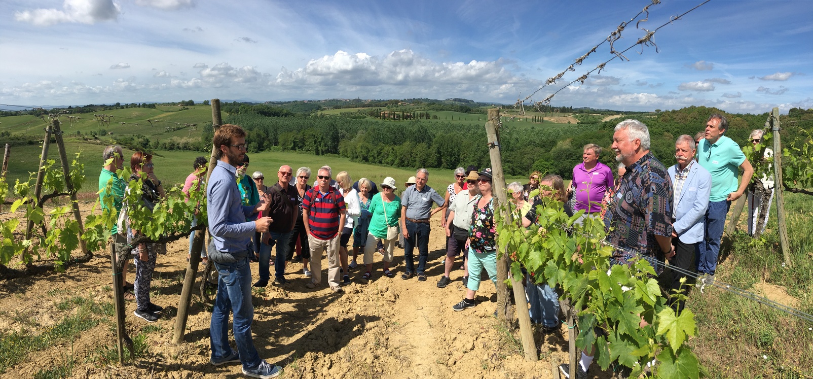 The visit to the vineyard of Tenuta Montechiaro, on the Chianti's hills near Siena