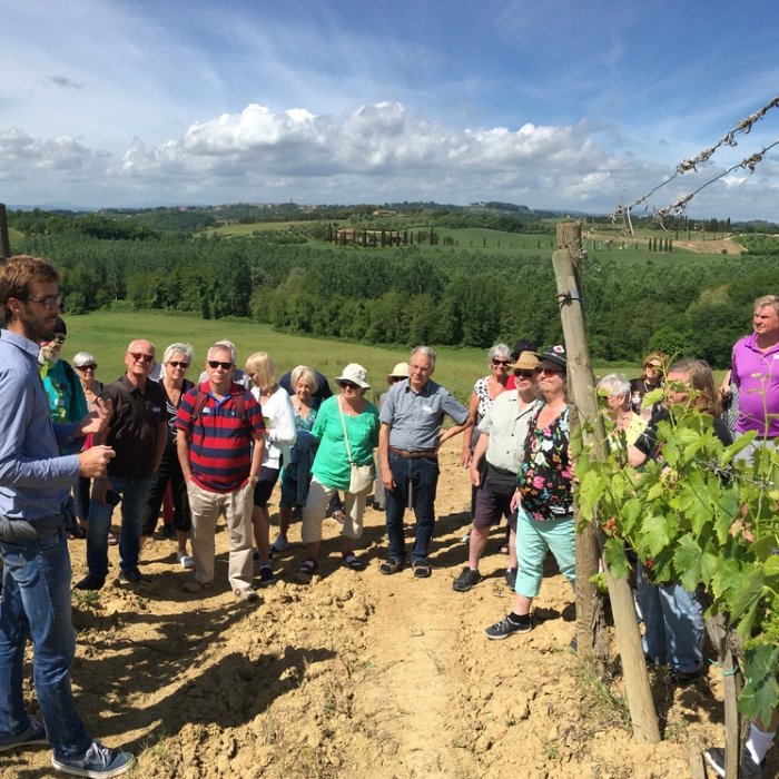 The visit to the vineyard of Tenuta Montechiaro, on the Chianti's hills near Siena