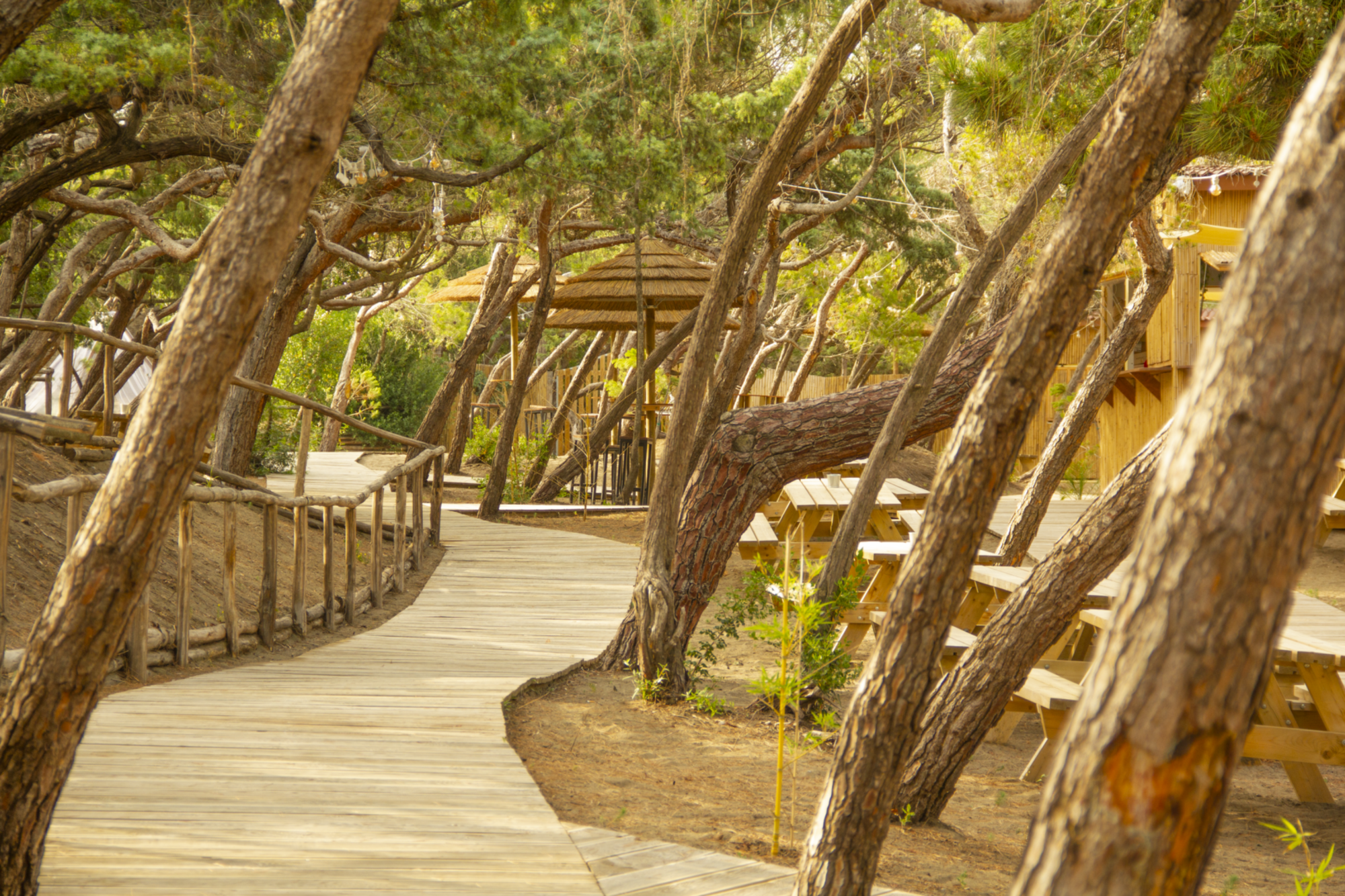Csa Hotel Beach & park a Bibbona