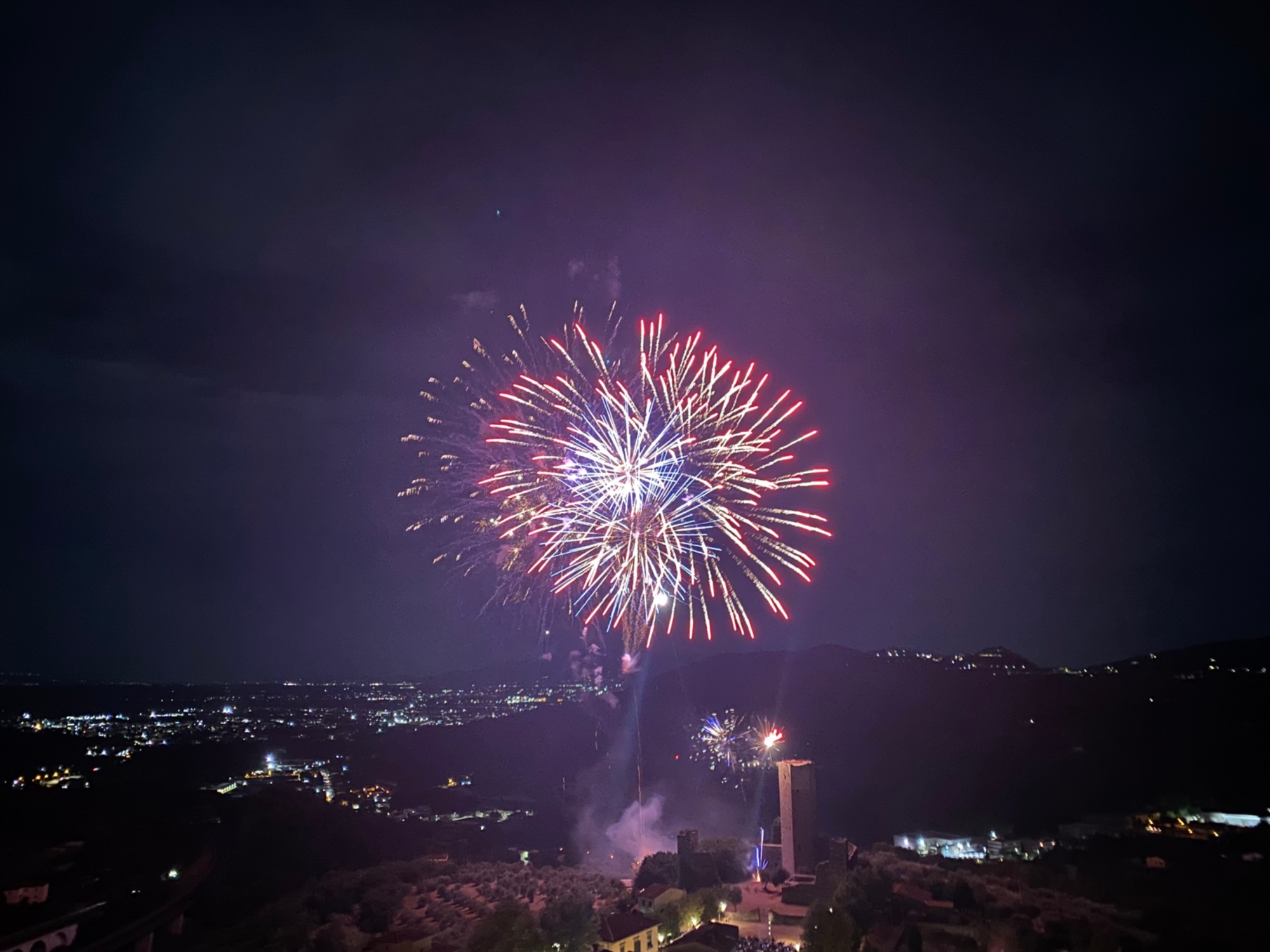 Festeggiamenti di San Lodovico