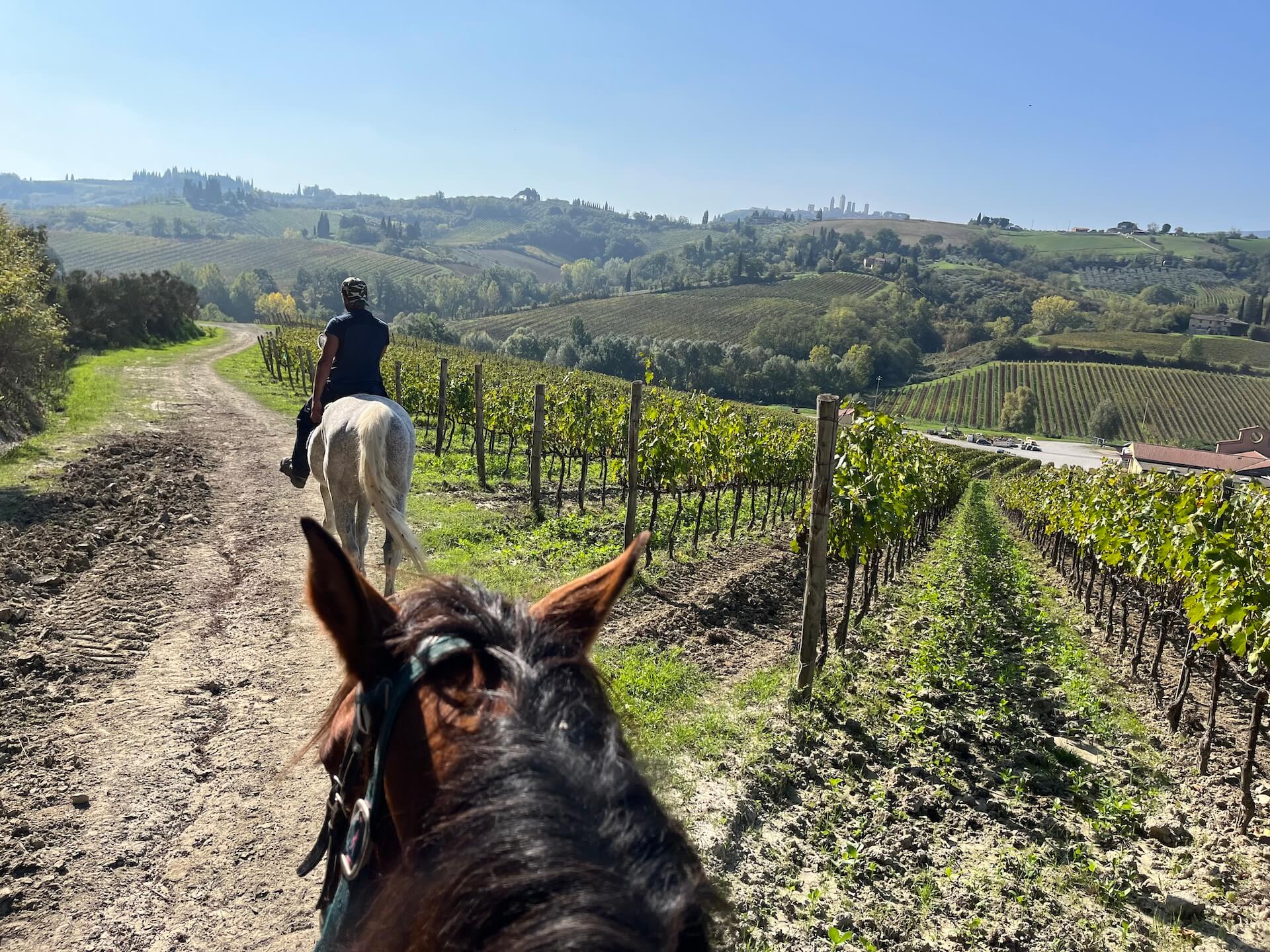 Horseback riding tour in Tuscany