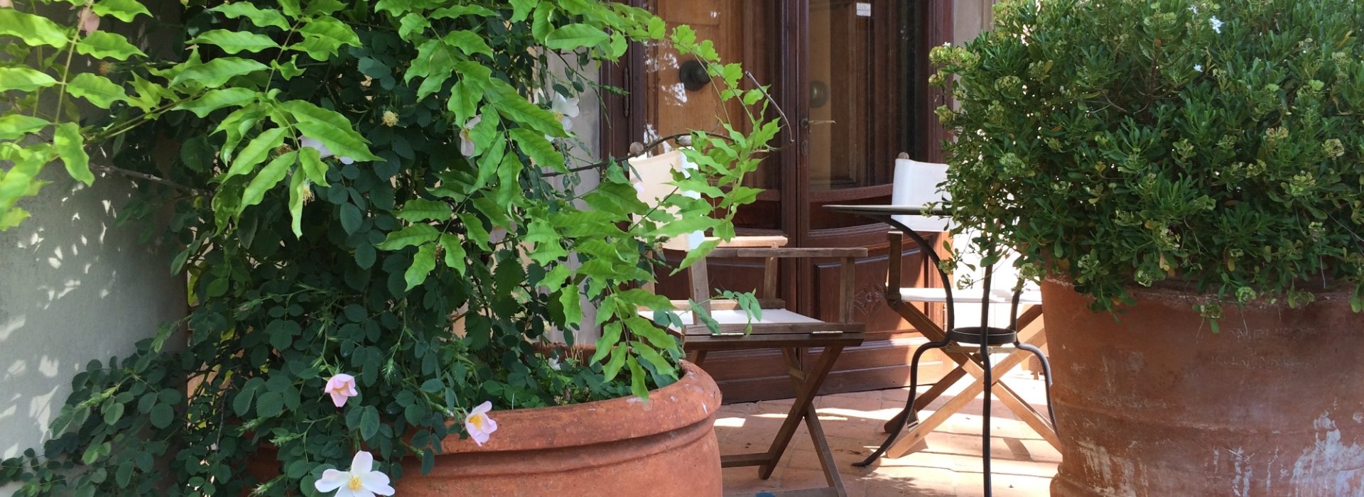 Soggiorno in appartamento di agriturismo sulle colline fra Pisa e Firenze Soggiorno in appartamento di agriturismo sulle colline fra Pisa e Firenze