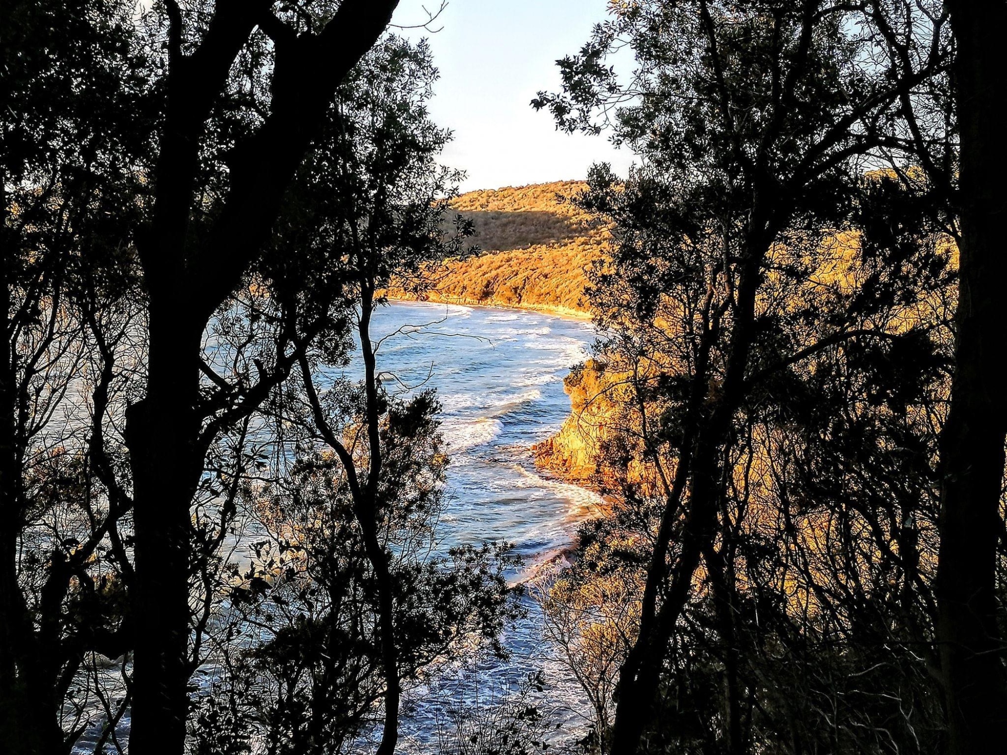 Follow scenic walking paths leading through Mediterranean pine forests to unspoilt beaches along the Maremma Coast