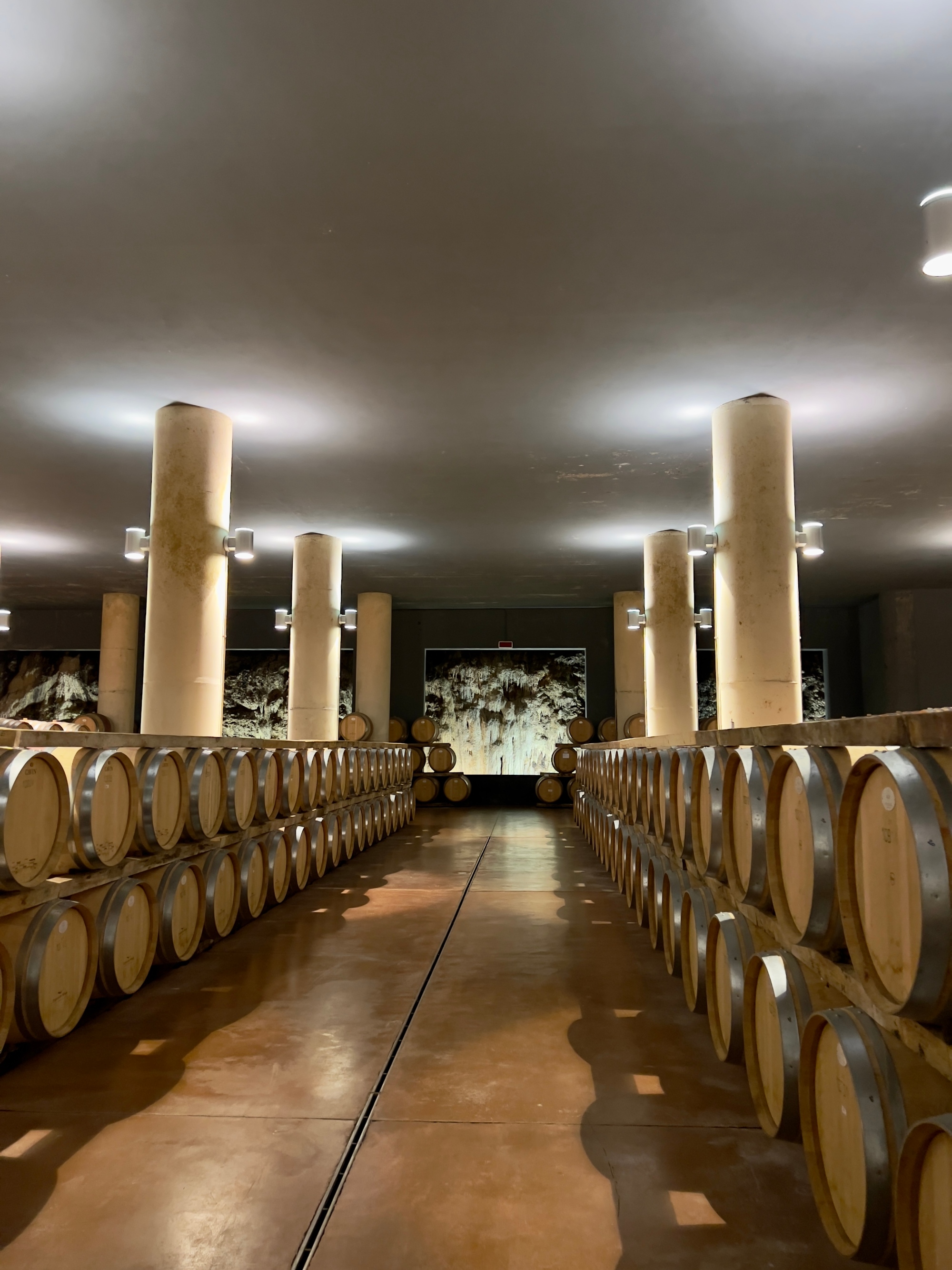 La magia silenziosa delle cantine del Chianti