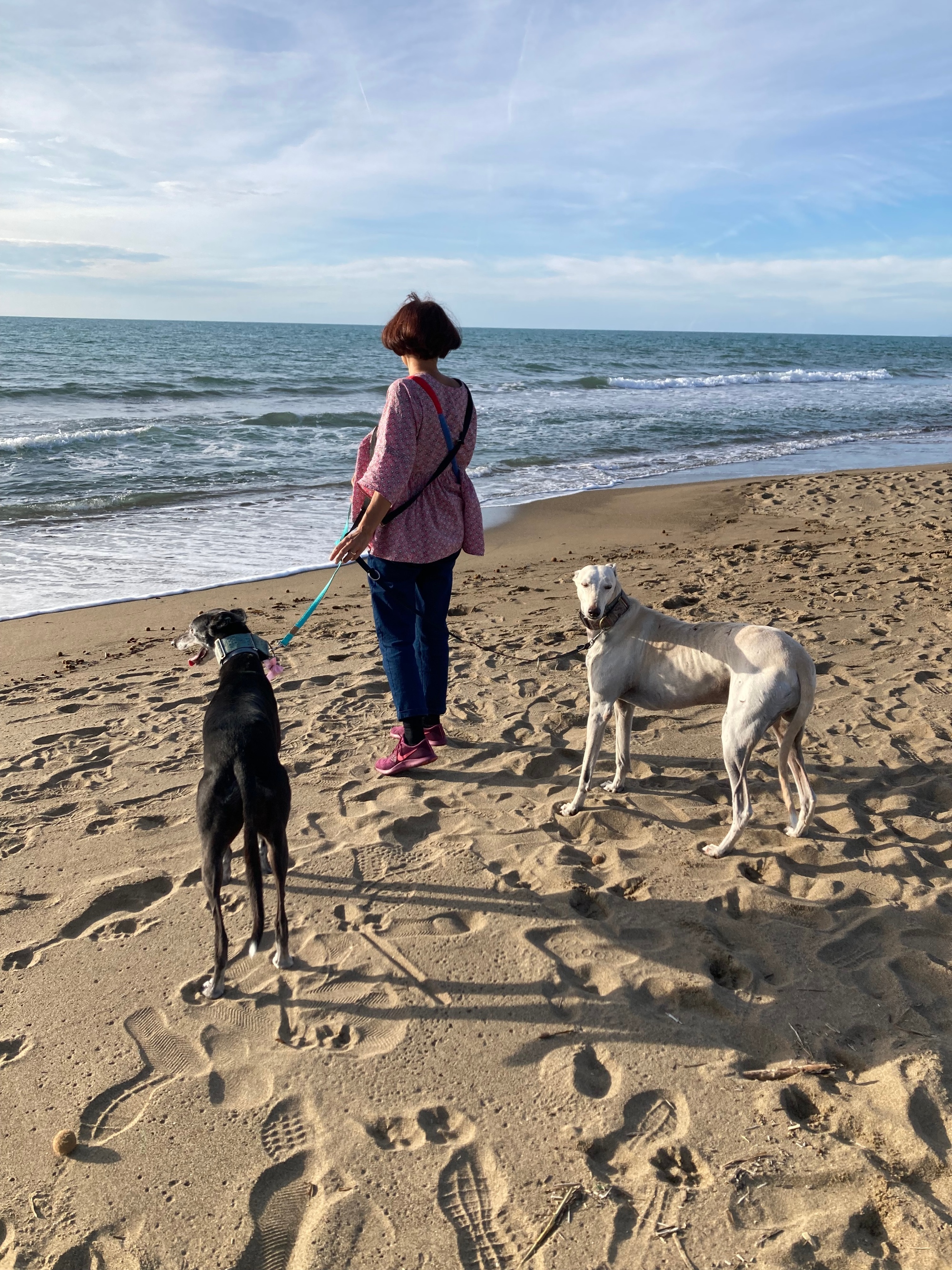 Una donna di spalle in spiaggia guarda il mare insieme a due cani levrieri al guinzaglio