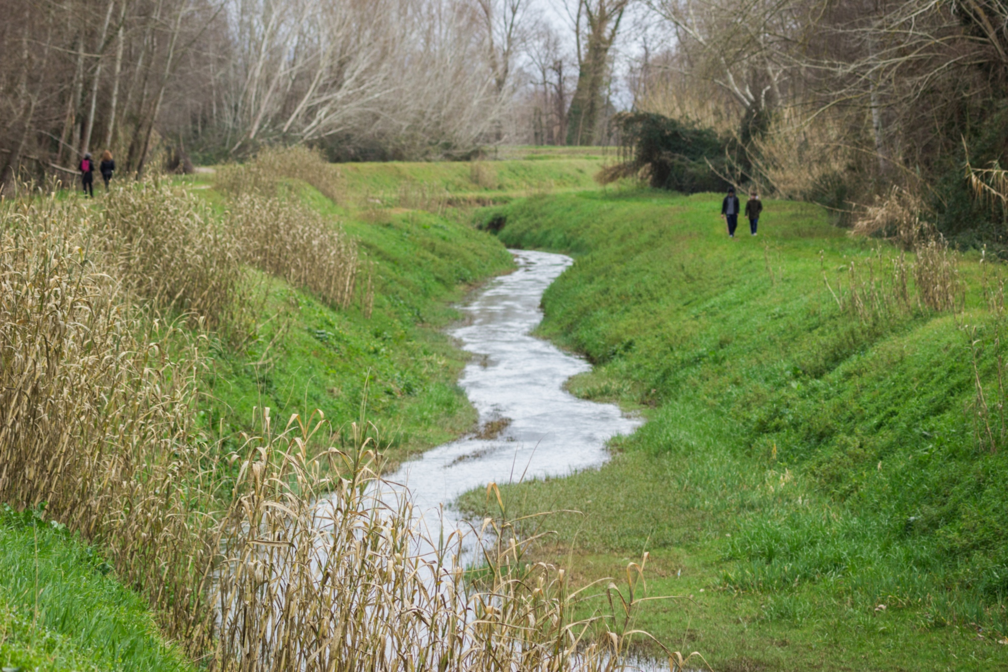 Lago di Porta