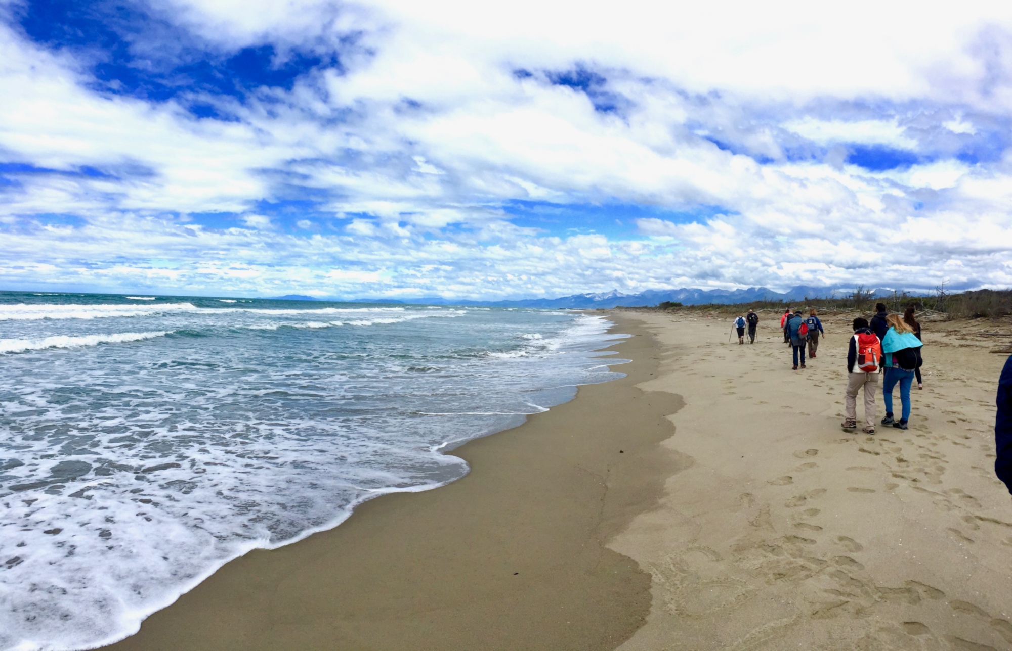 Trekking nella natura nel parco di San Rossore fino al mare