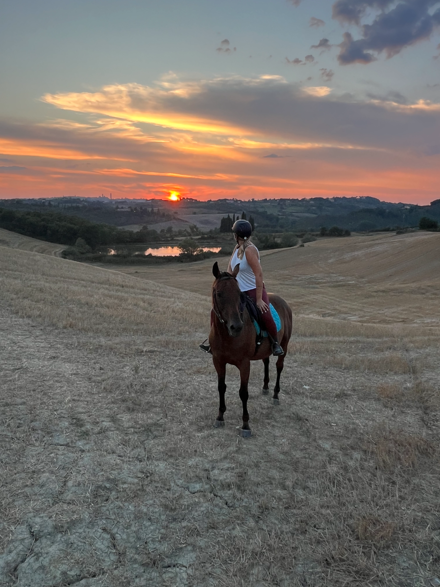 Fattoria didattica e passeggiata a cavallo nelle colline senesi