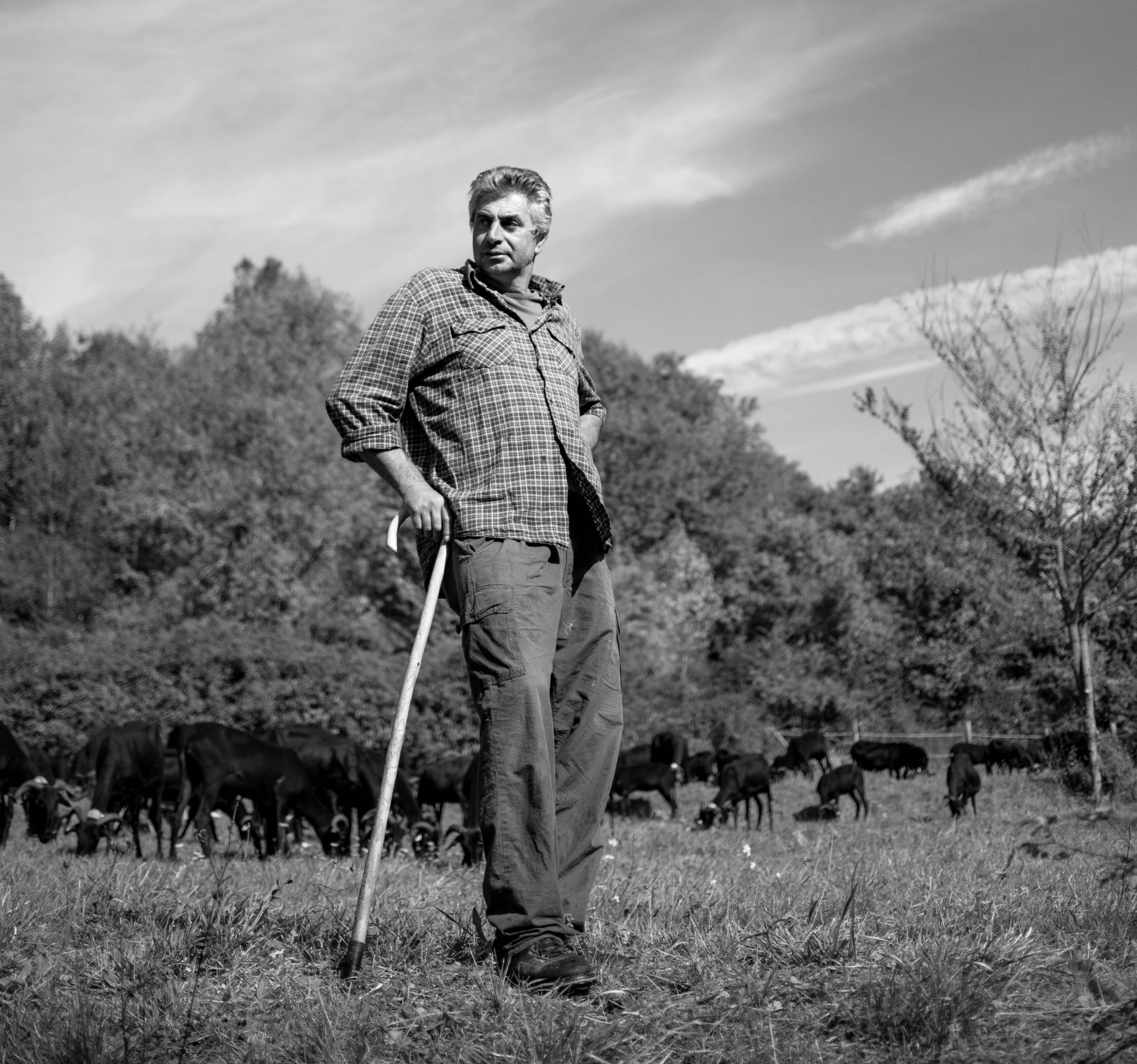 The shepherd Giancarlo Boschetti