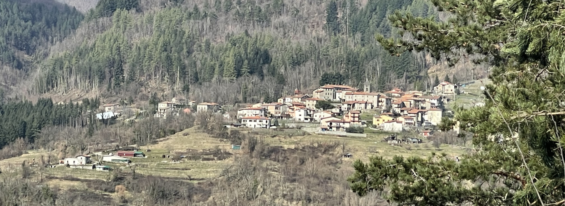 Exploring the garden of Tuscany, between mountain flavors and aromas Exploring the garden of Tuscany, between mountain flavors and aromas