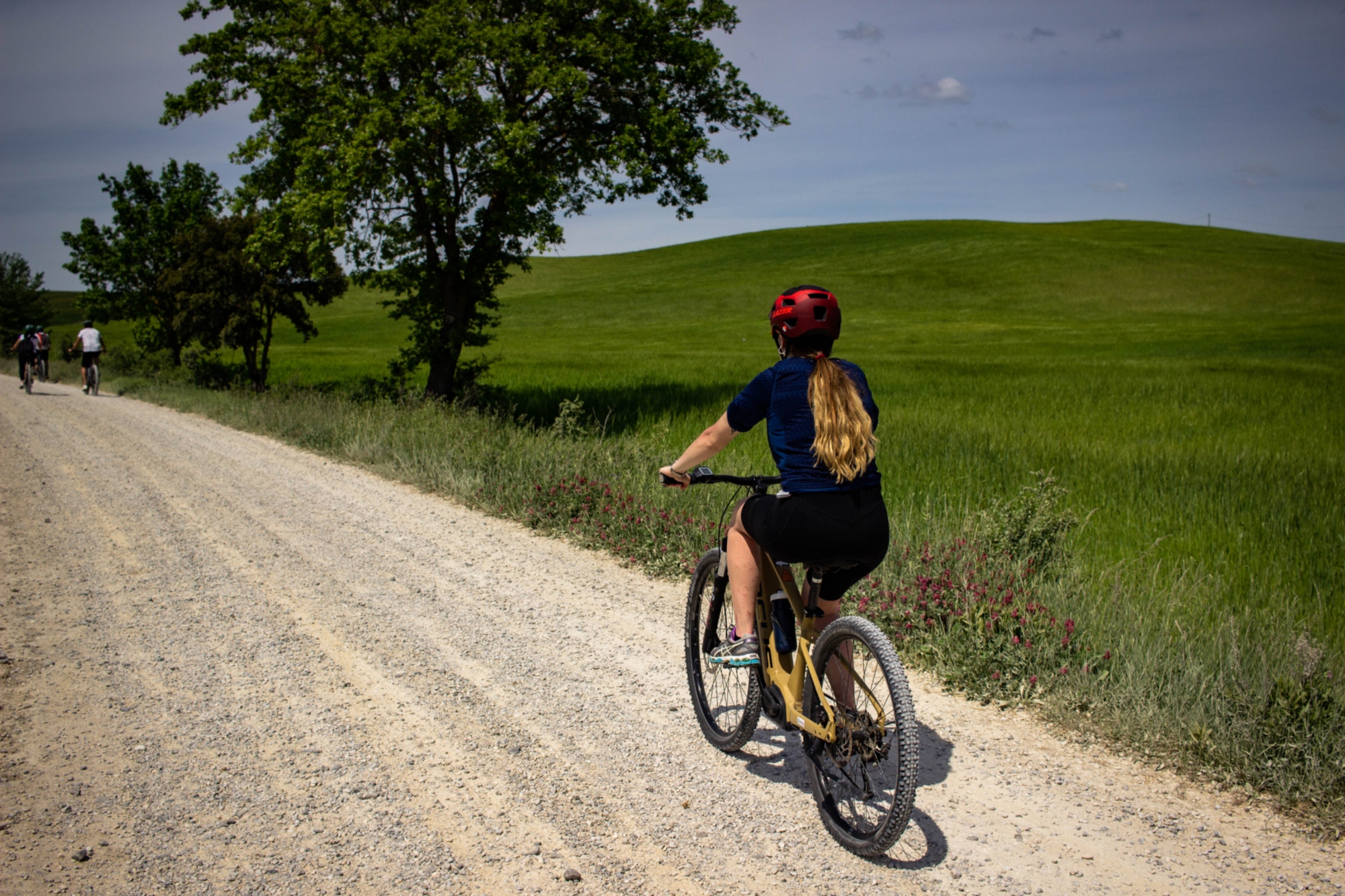 eBike tour to discover the most iconic hills and places of the Val d'Orcia