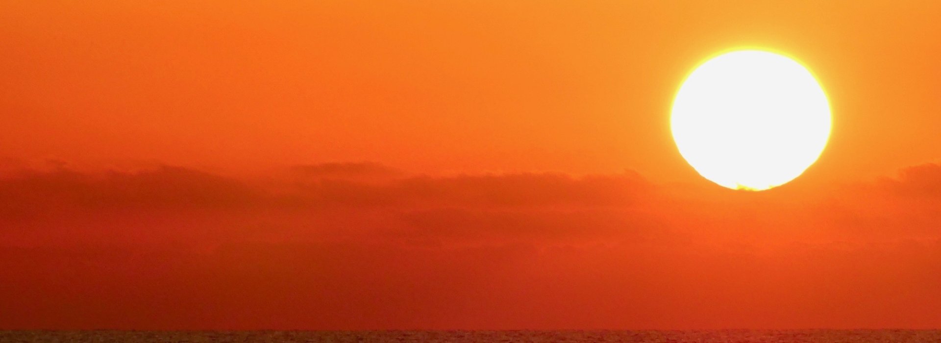 Escursione in San Rossore con tramonto alla spiaggia del Gombo Escursione in San Rossore con tramonto alla spiaggia del Gombo