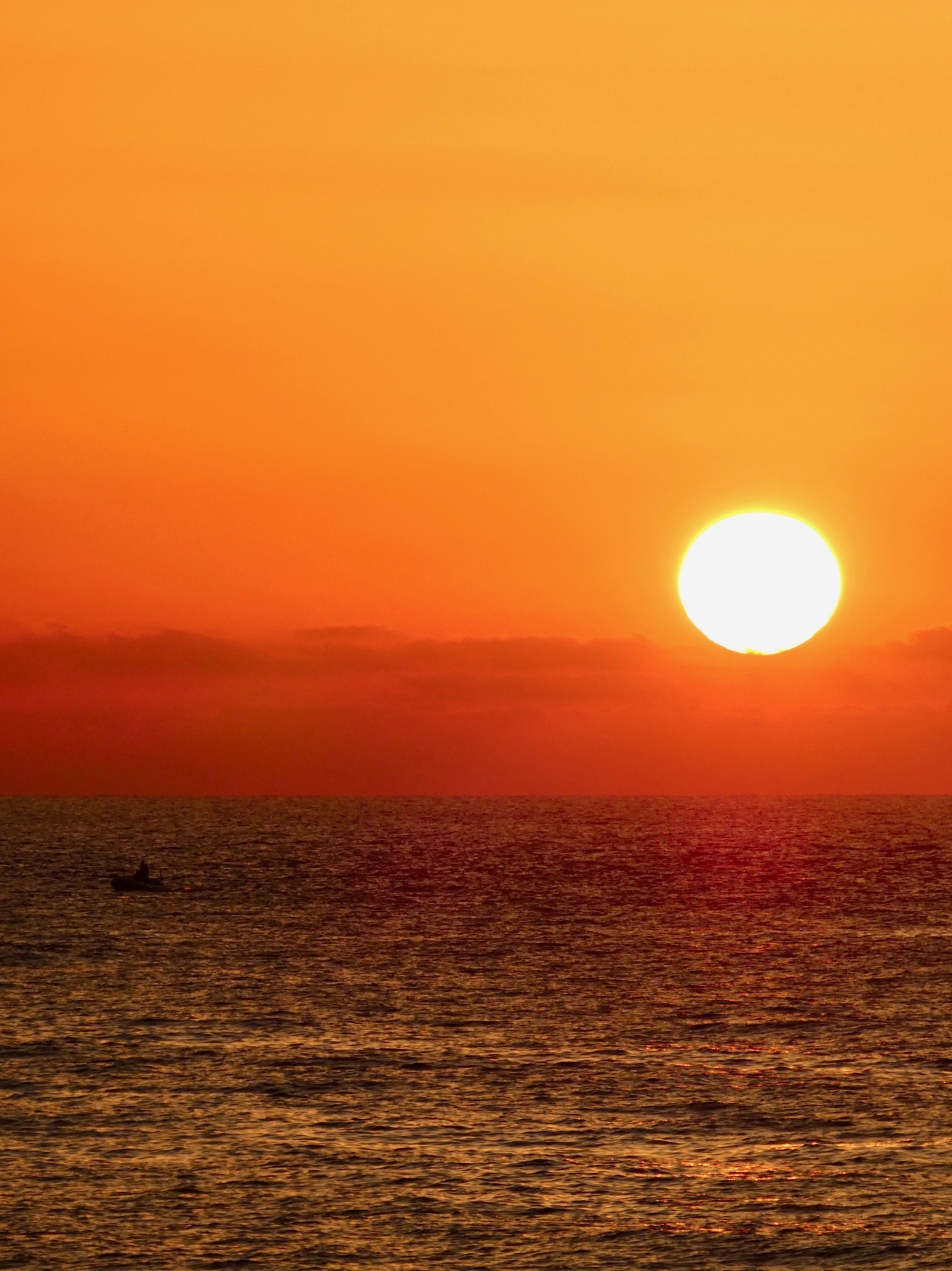 Escursione in San Rossore con tramonto alla spiaggia del Gombo