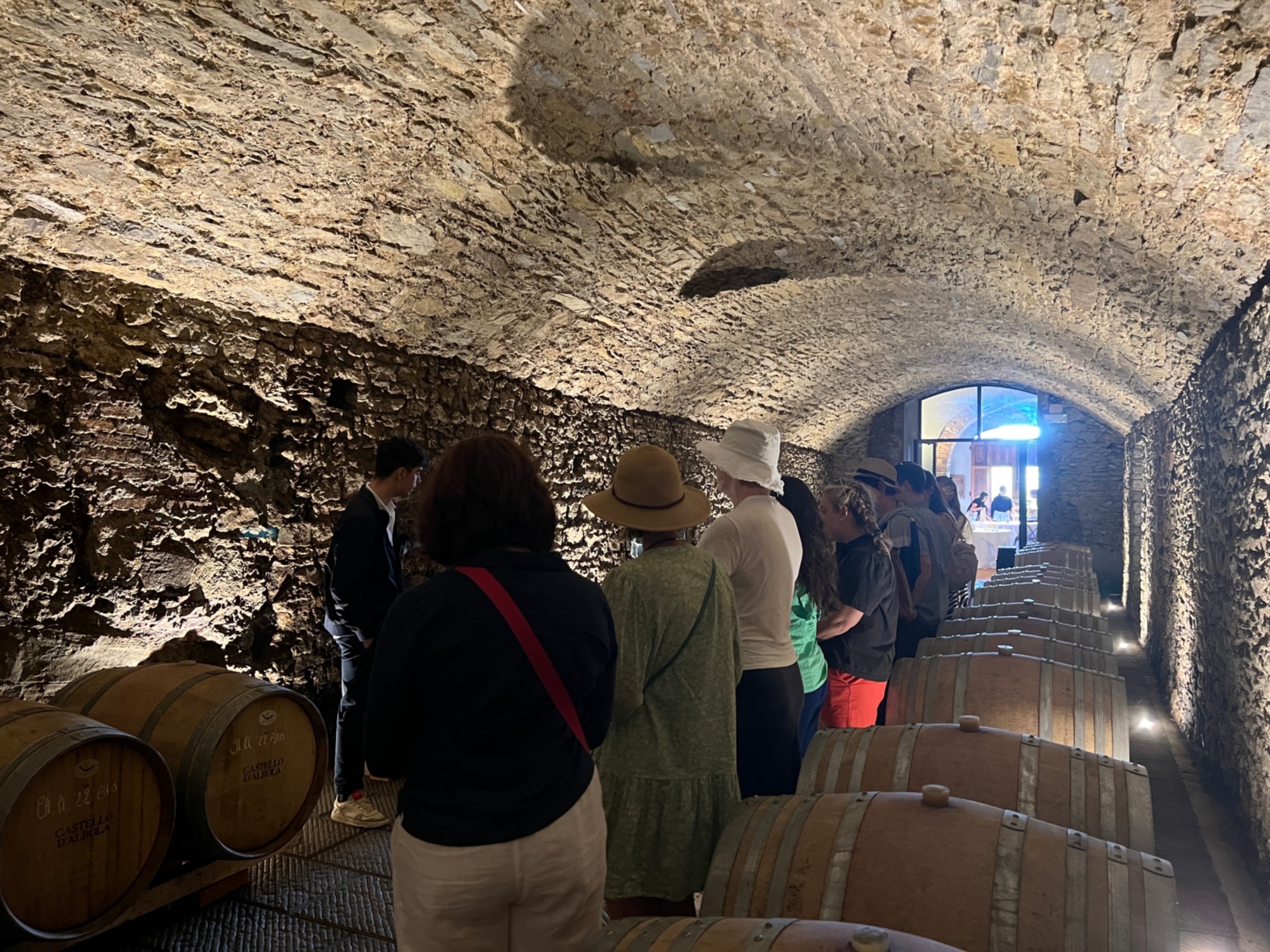 Full day experience in Montepulciano and Chianti wine areas