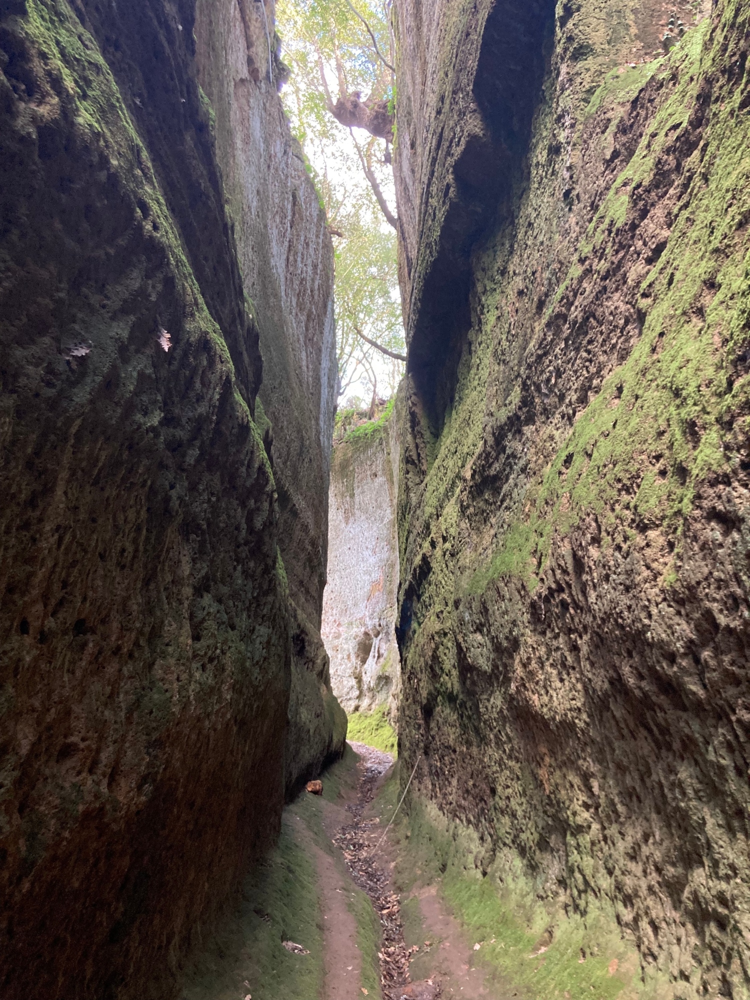 Archeotrekking through the Vie Cave of Pitigliano and Sovana with tasting of the volcanic wine