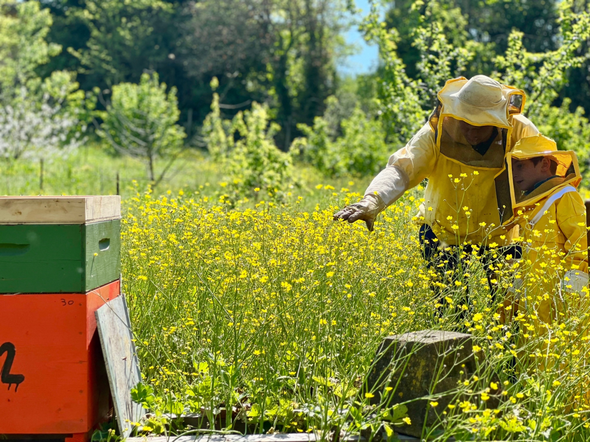 Bucolica Circolo Culturale Agricolo a Lastra a Signa