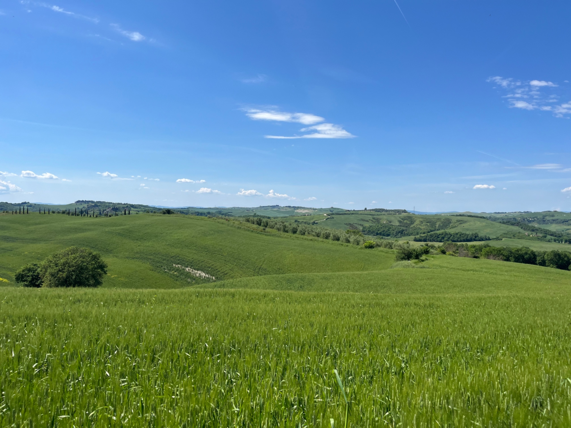 Treno a vapore da Siena a Sant'Angelo Scalo