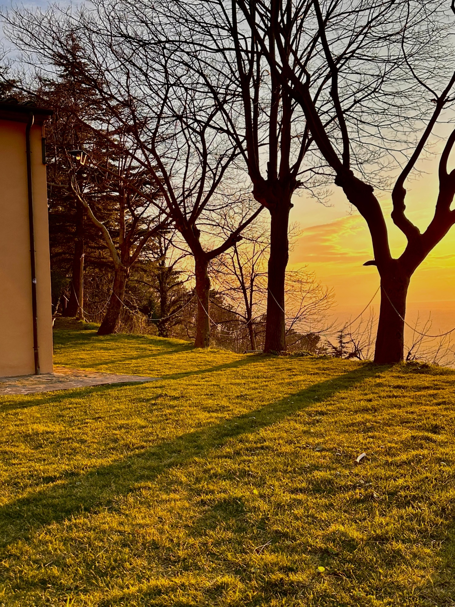 Cena sensoriale: viaggio tra i 5 sensi