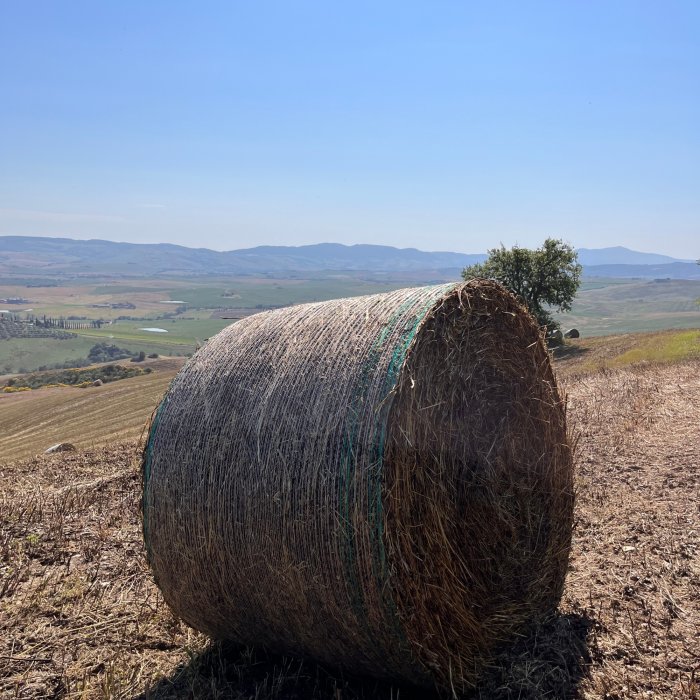 Easy tourist hike of 8 kilometers along the Via Francigena