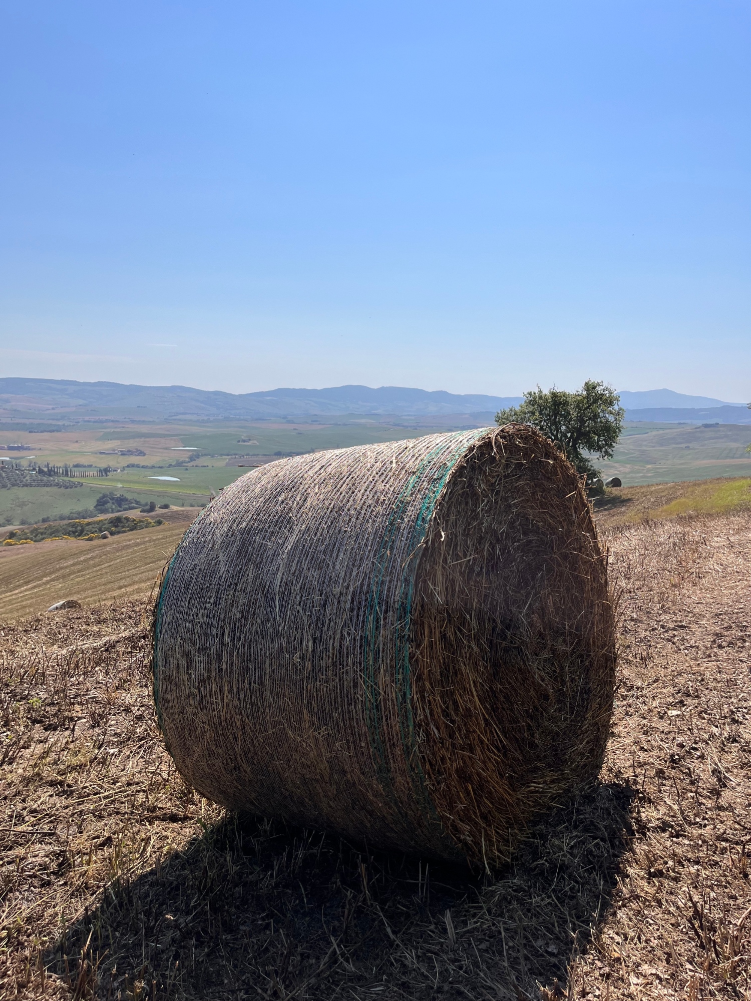 Easy tourist hike of 8 kilometers along the Via Francigena