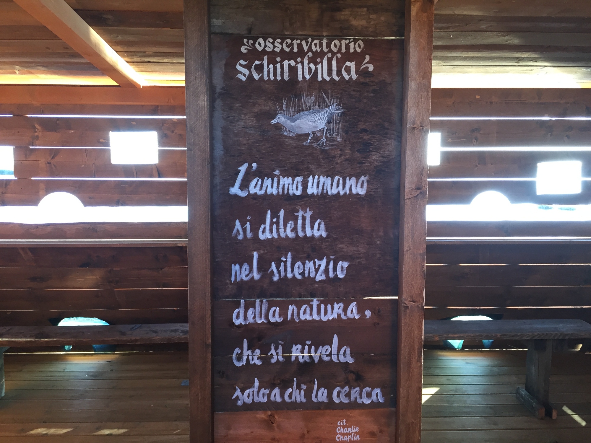 Visita all'area archeologica e alla riserva del Chiarone nel territorio del lago di Massaciuccoli 