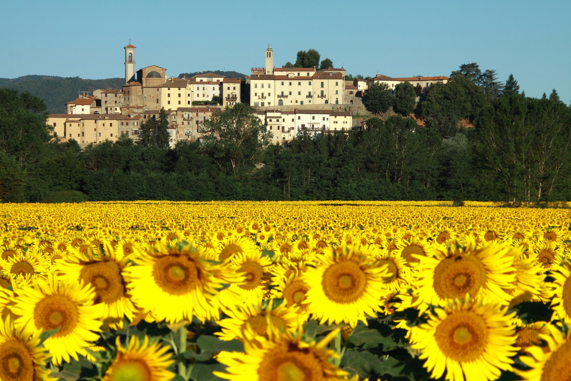 Monterchi