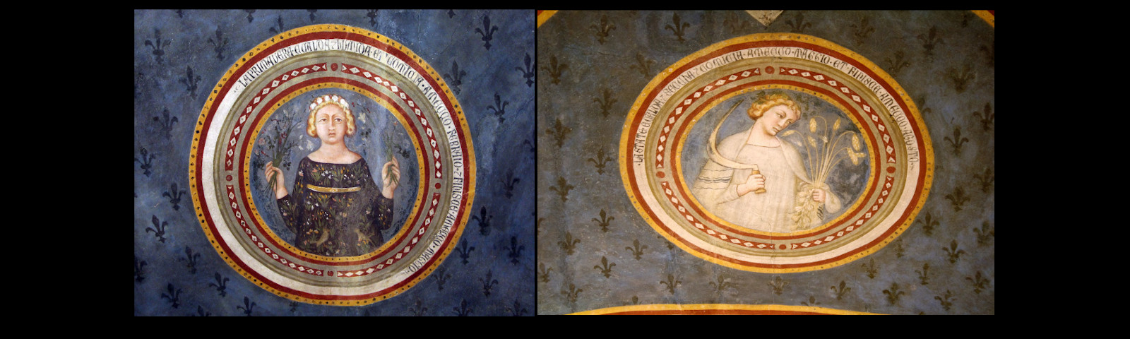 immagine-amico-museo.jpg
