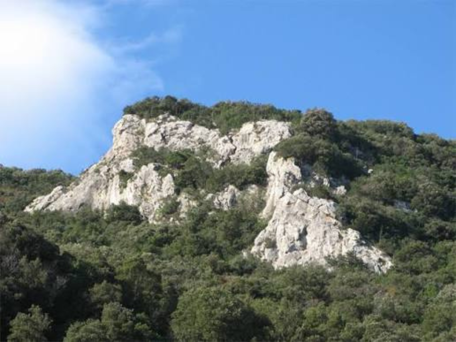 Immagine del Monte Calvo con cielo azzurro e terso
