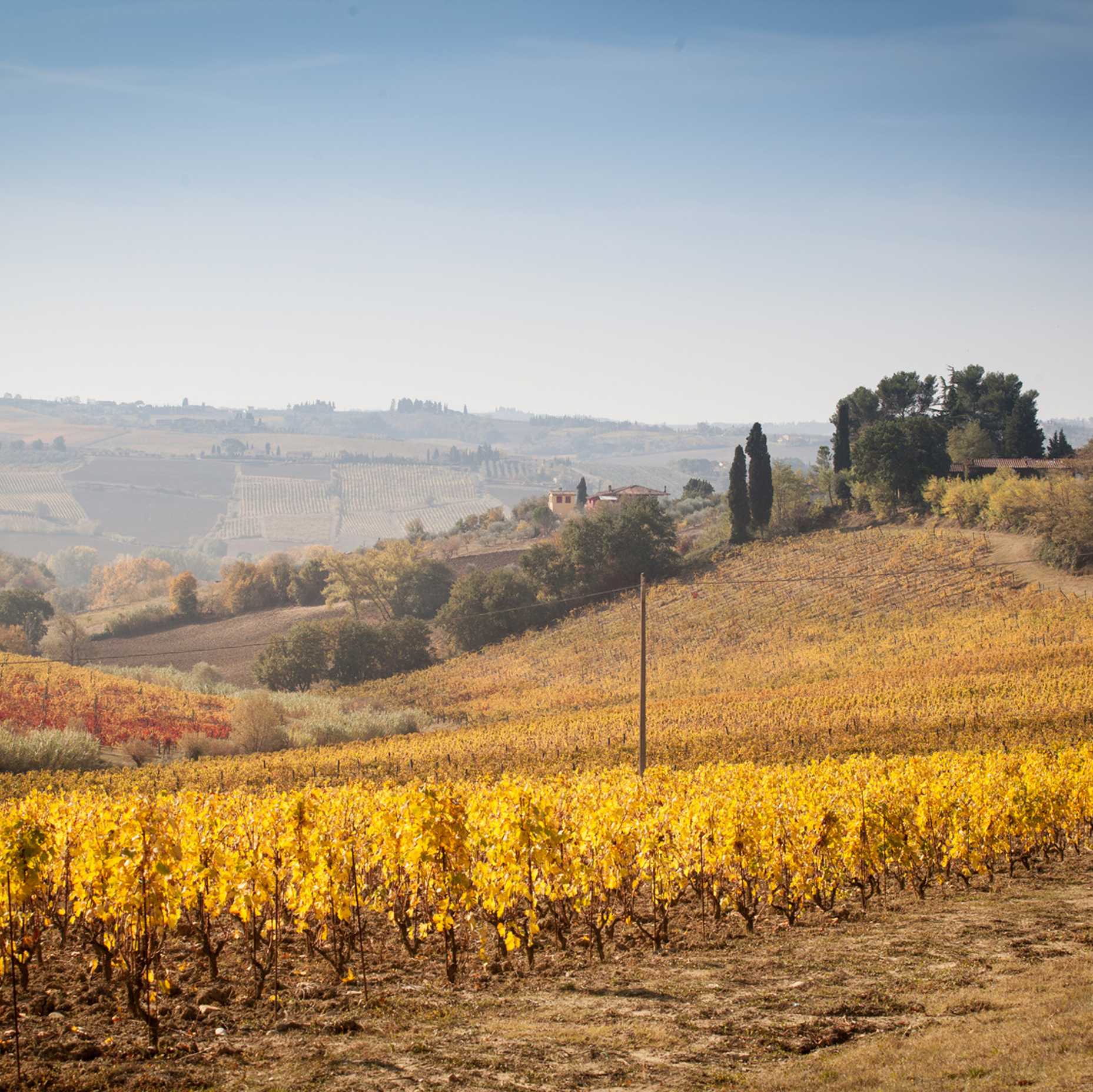Romantic picnic in vineyard at Fattoria San Michele a Torri