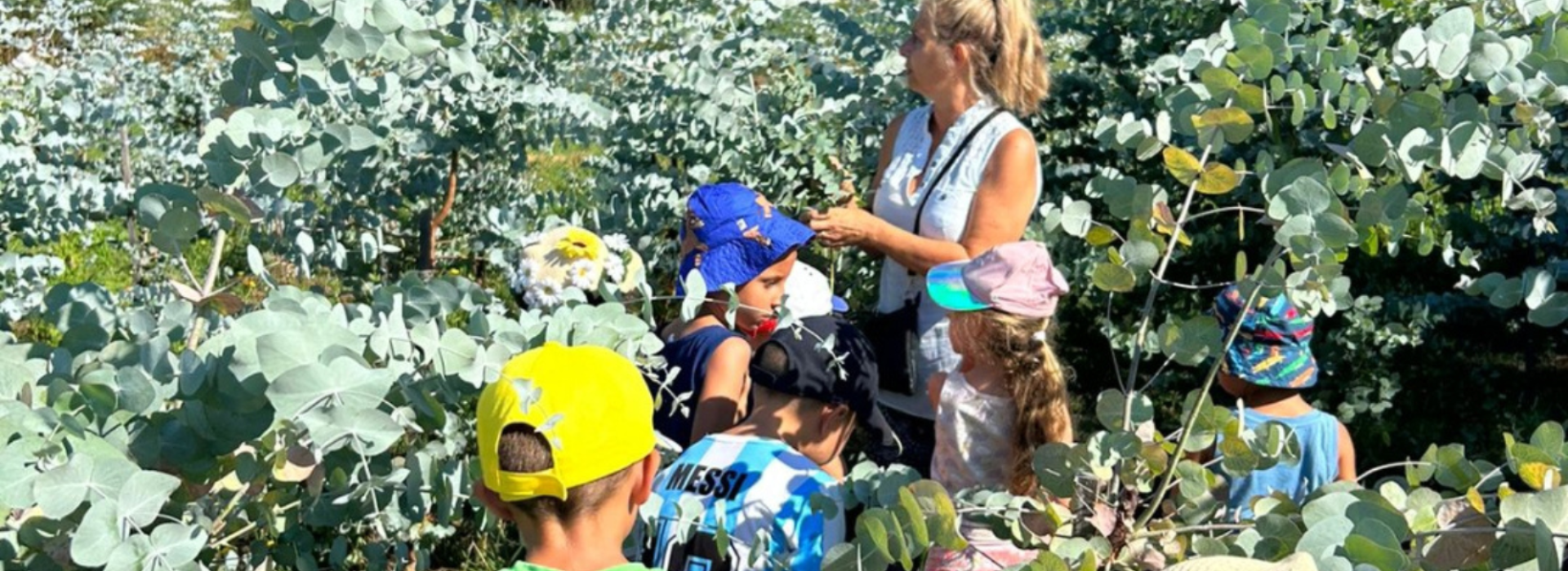 Bimbi e natura, attività laboratoriali a Massarosa Bimbi e natura, attività laboratoriali a Massarosa