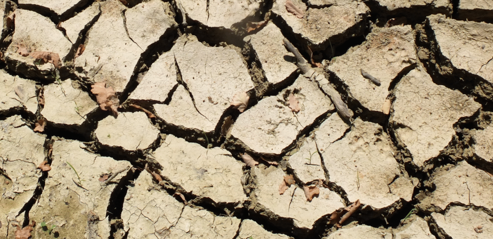 Immagine di terra arida