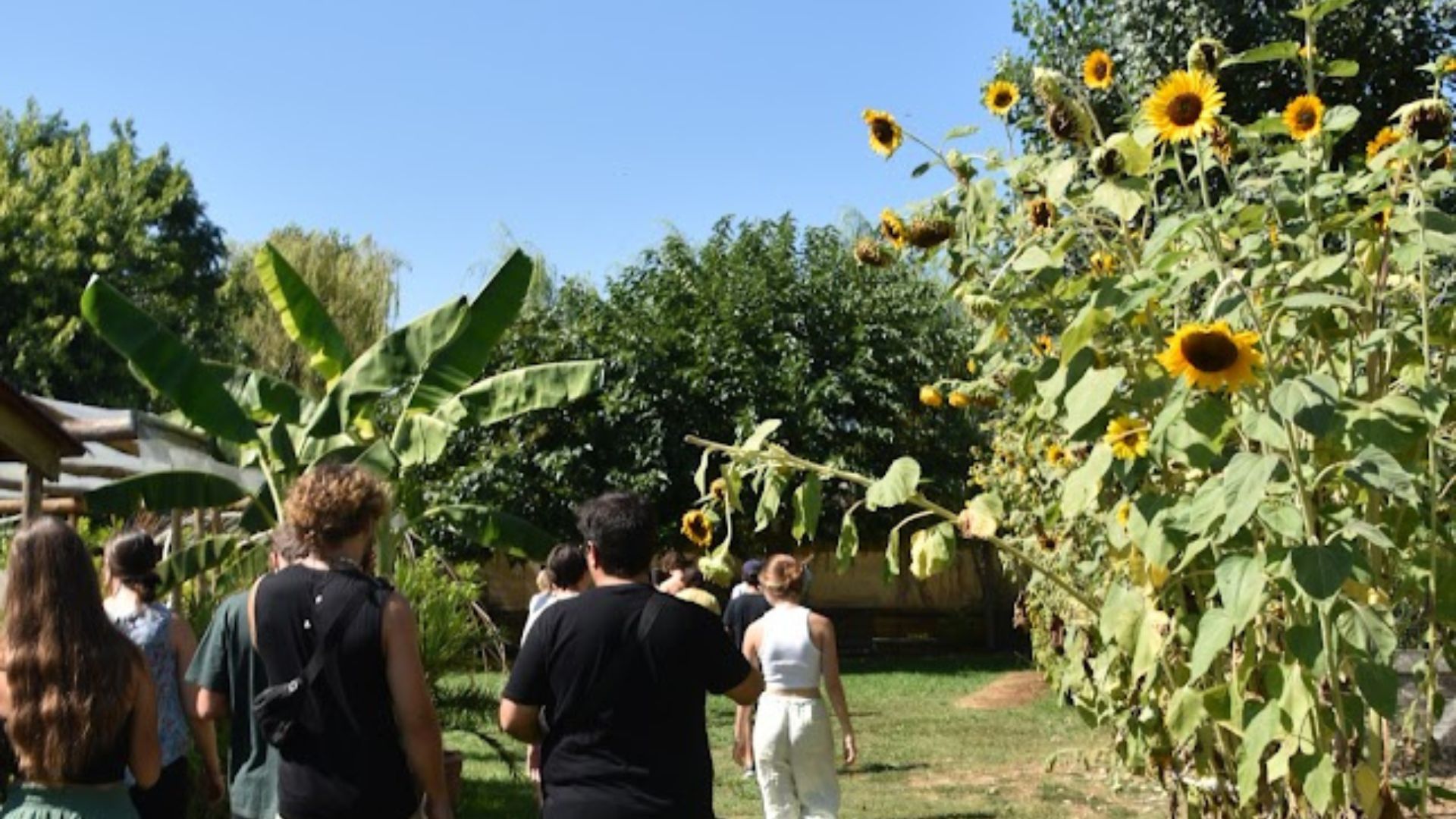 Esperienza di relax e meditazione presso Il giardino di Manipura di Massarosa