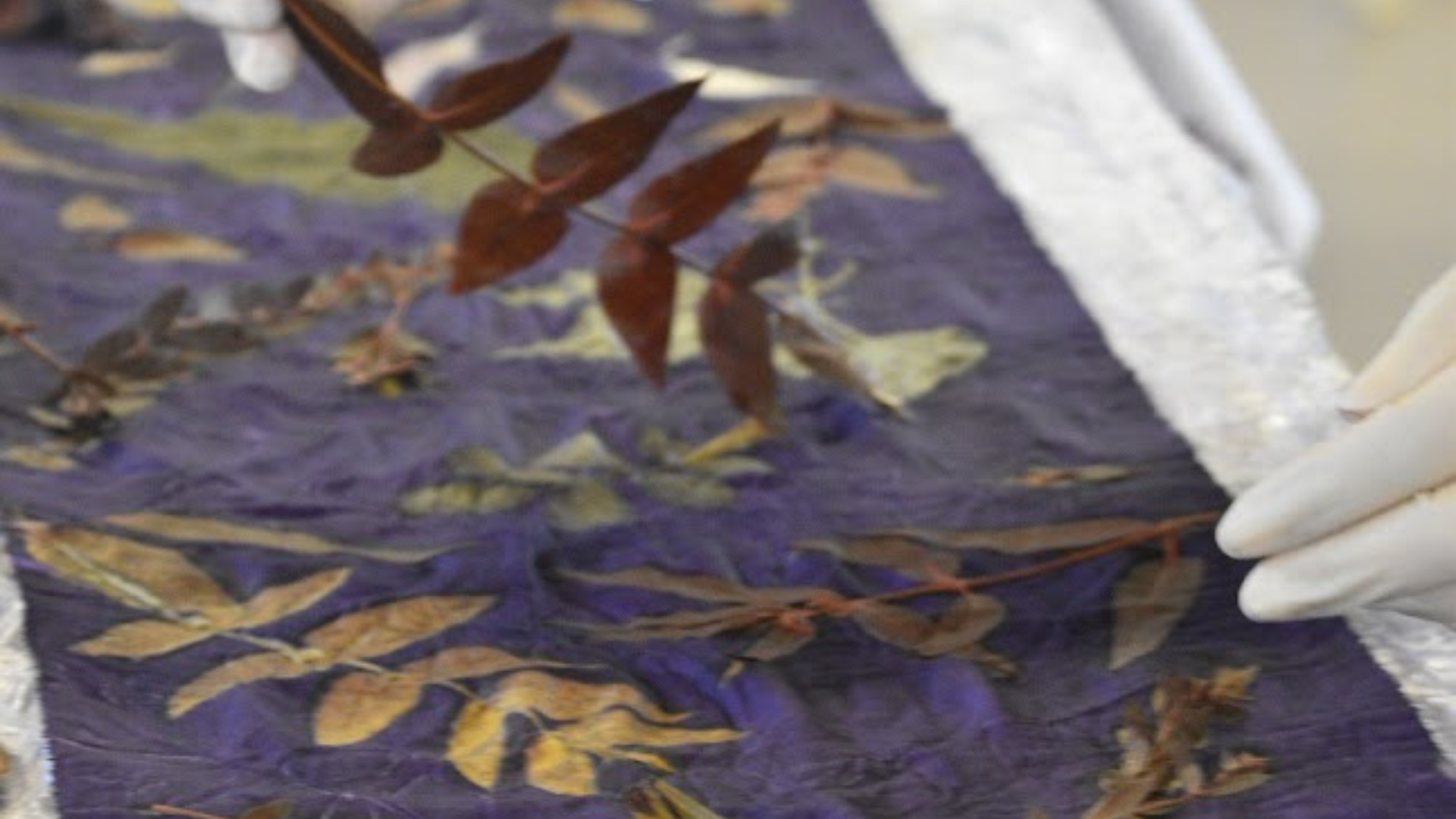 Stampa botanica a Il Giardino di Manipura