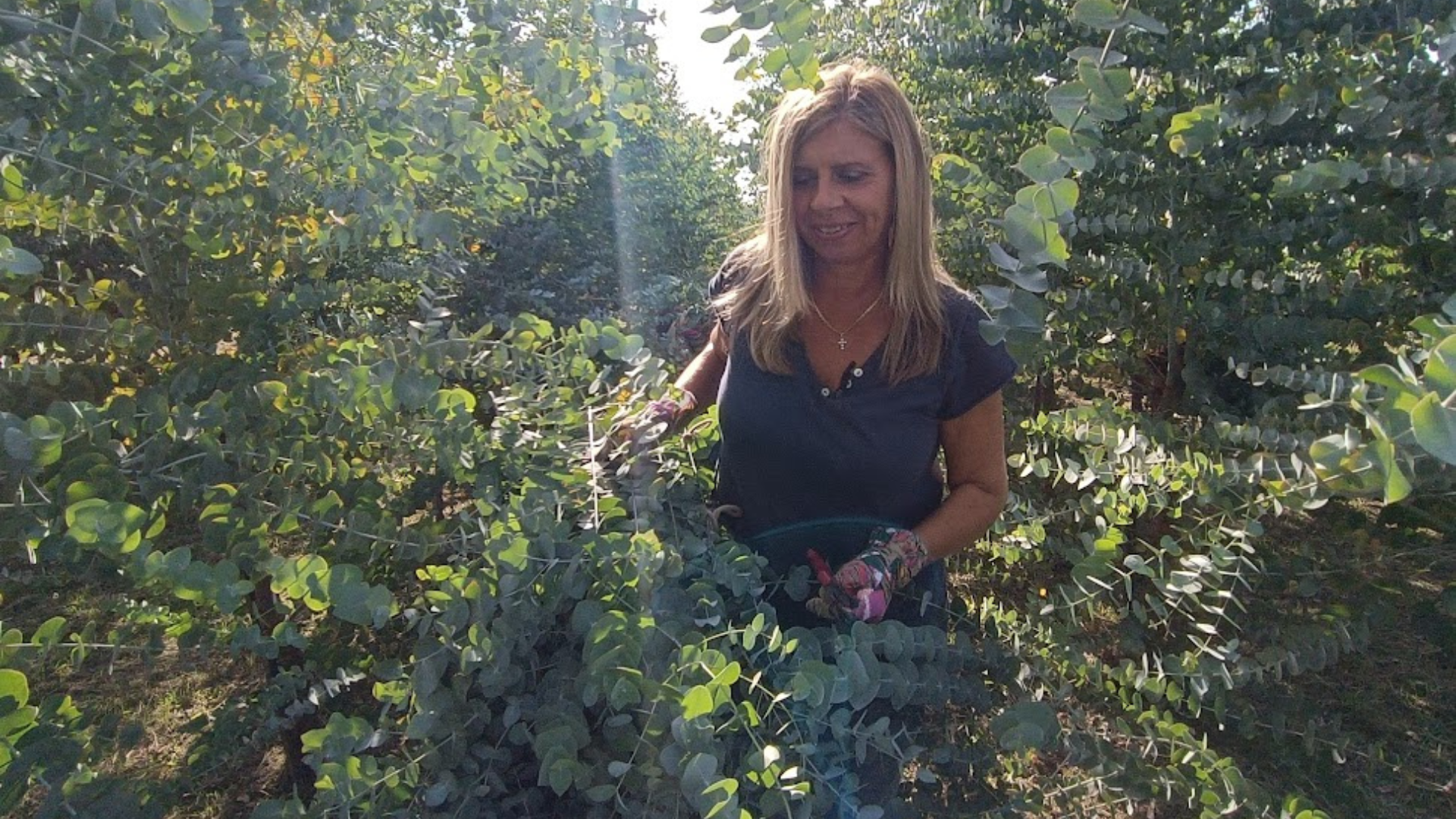 Alla scoperta del mondo agricolo: esperienza immersiva in agriturismo a Massarosa