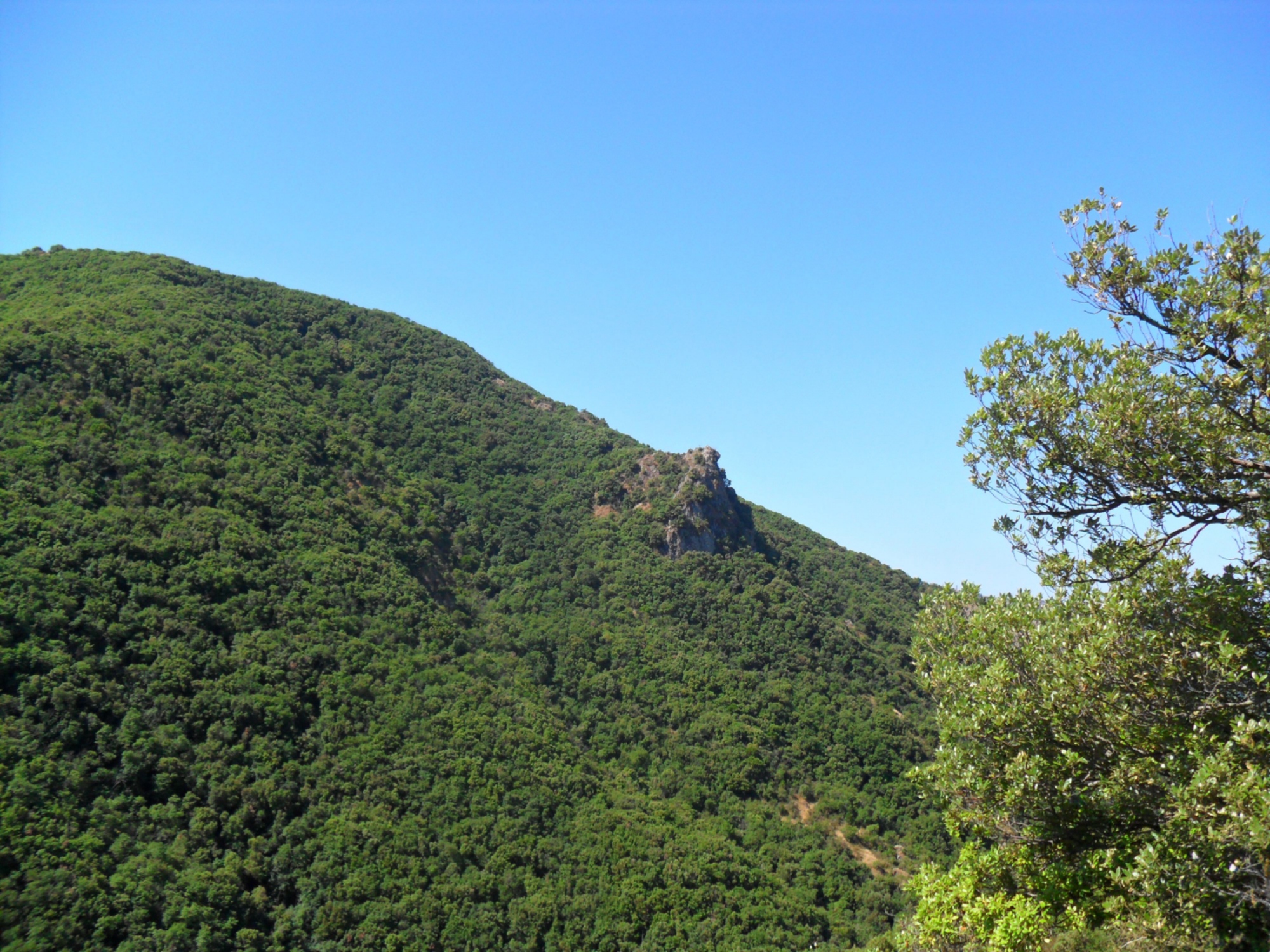 Vue du parc naturel régional de Montenero avec ses collines riches en végétation.