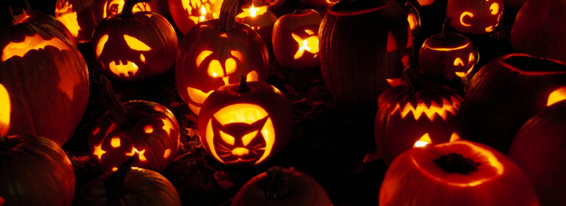 festa di halloween al San Ranieri Hotel festa di halloween al San Ranieri Hotel