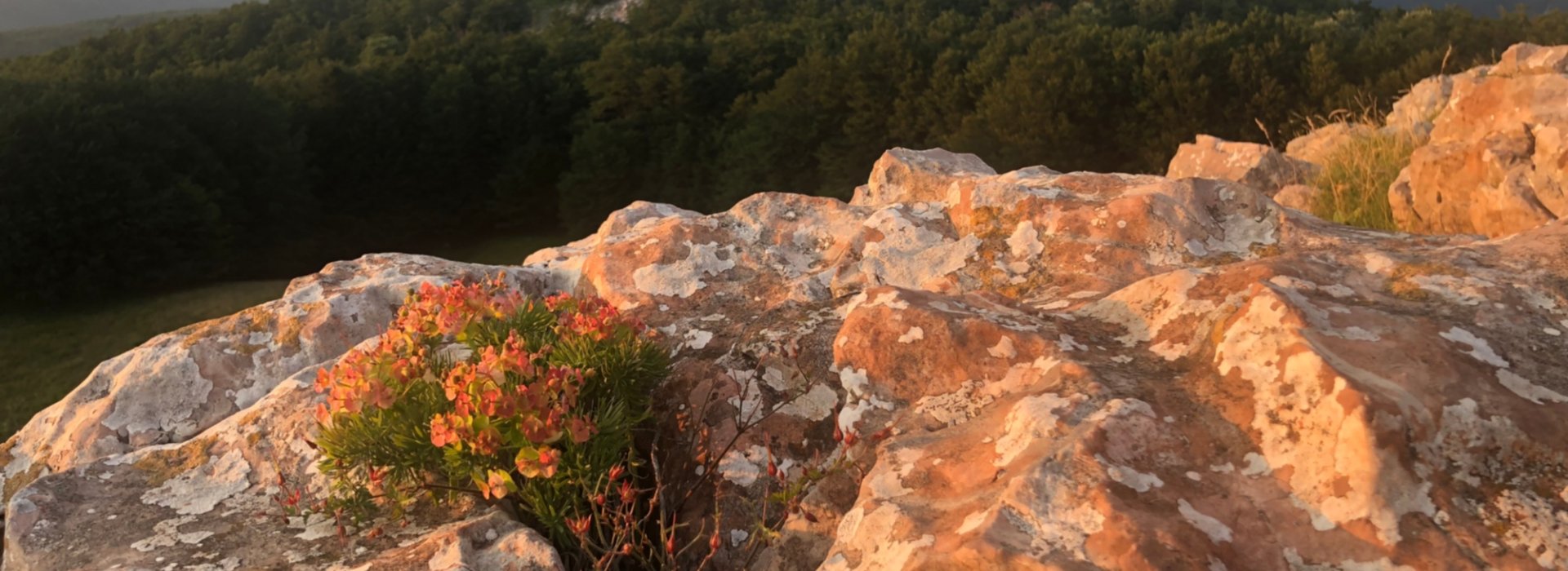 Pania della Croce: a loop route in the Apennine atmospheres in Tuscany