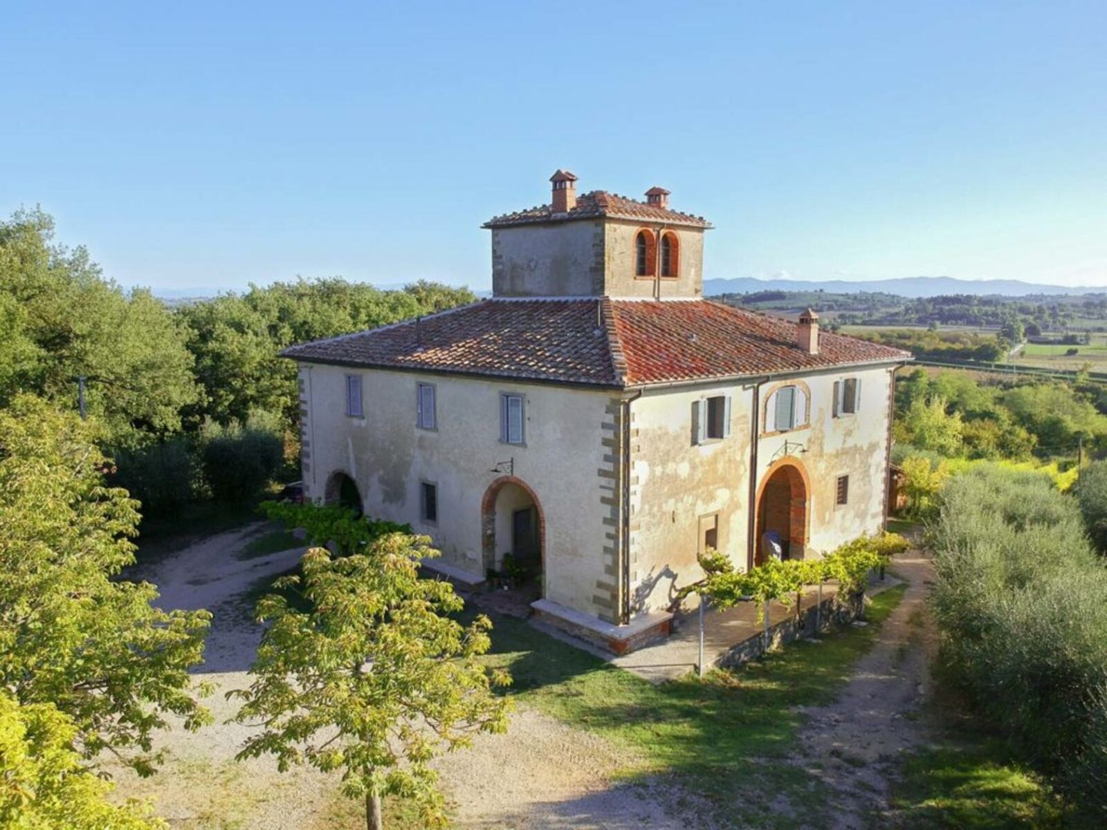 Visit and wine tasting in Lucignano, at the estate Il Sosso