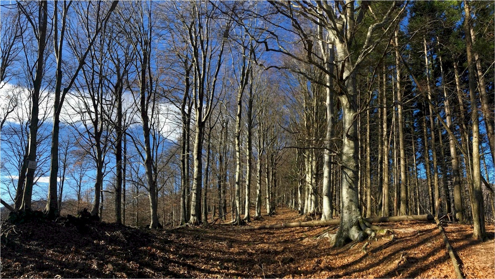 Valle del rio di bacuccio