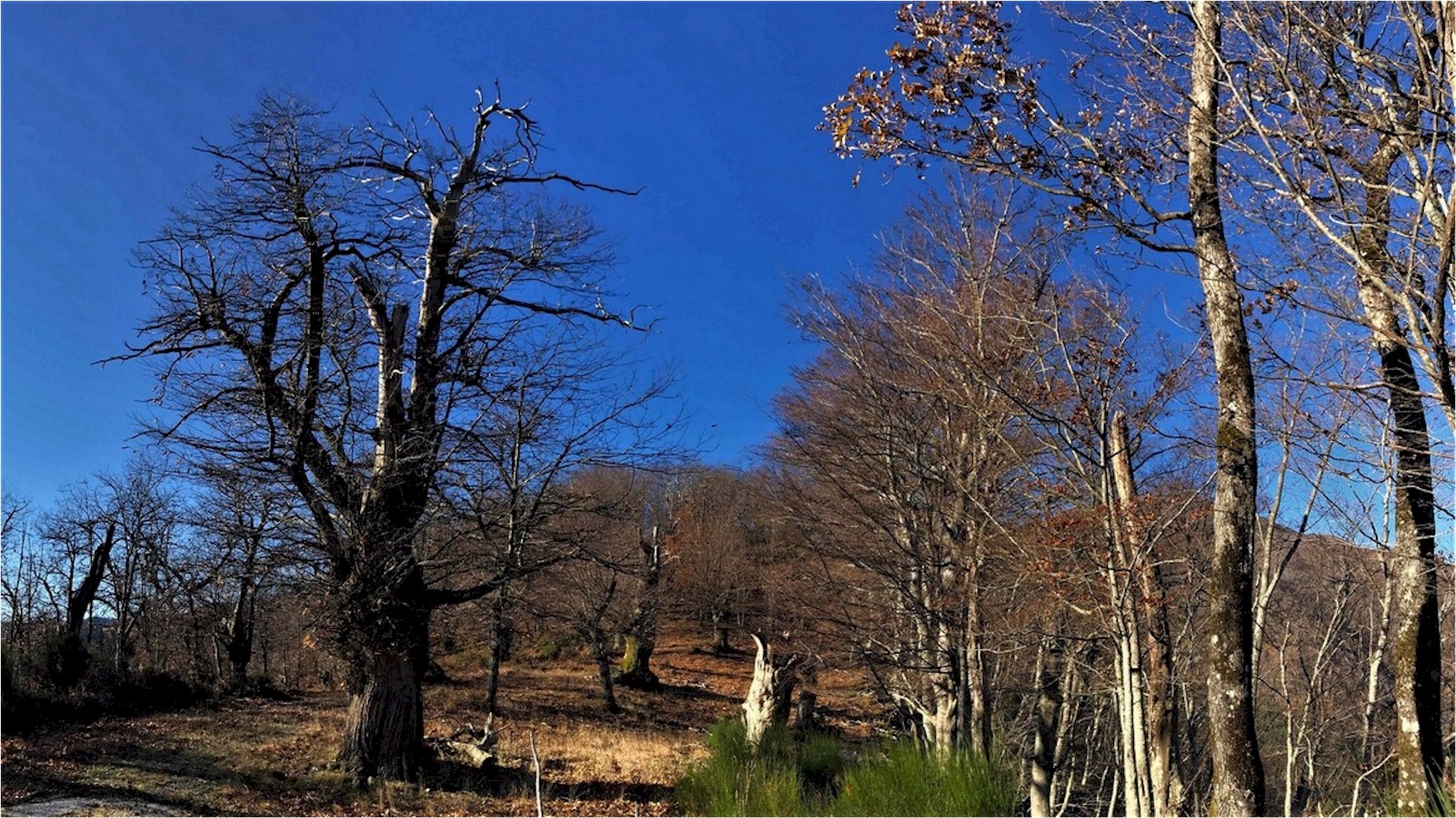 Valle del rio di bacuccio