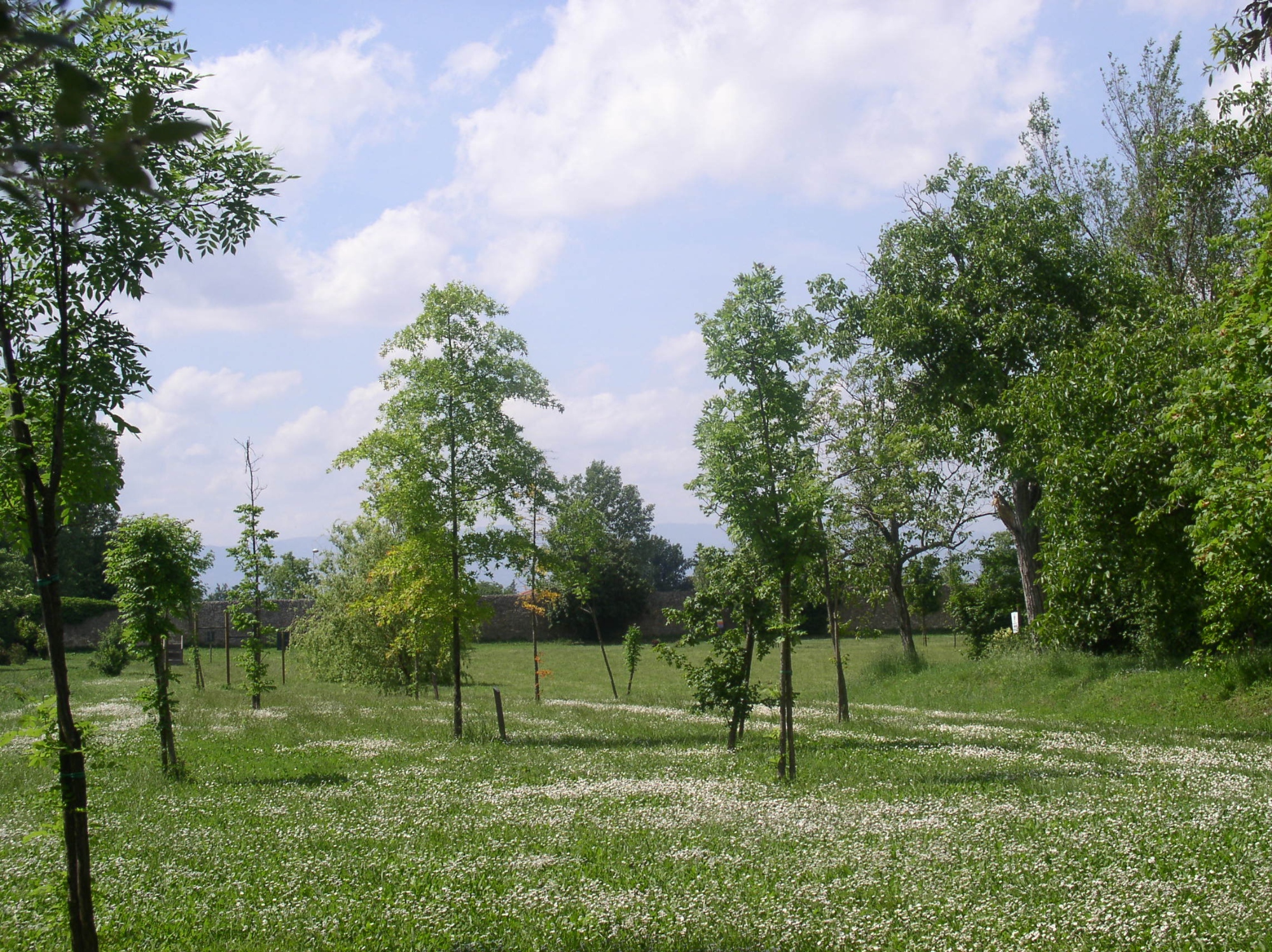 Cascine di Tavola a Prato