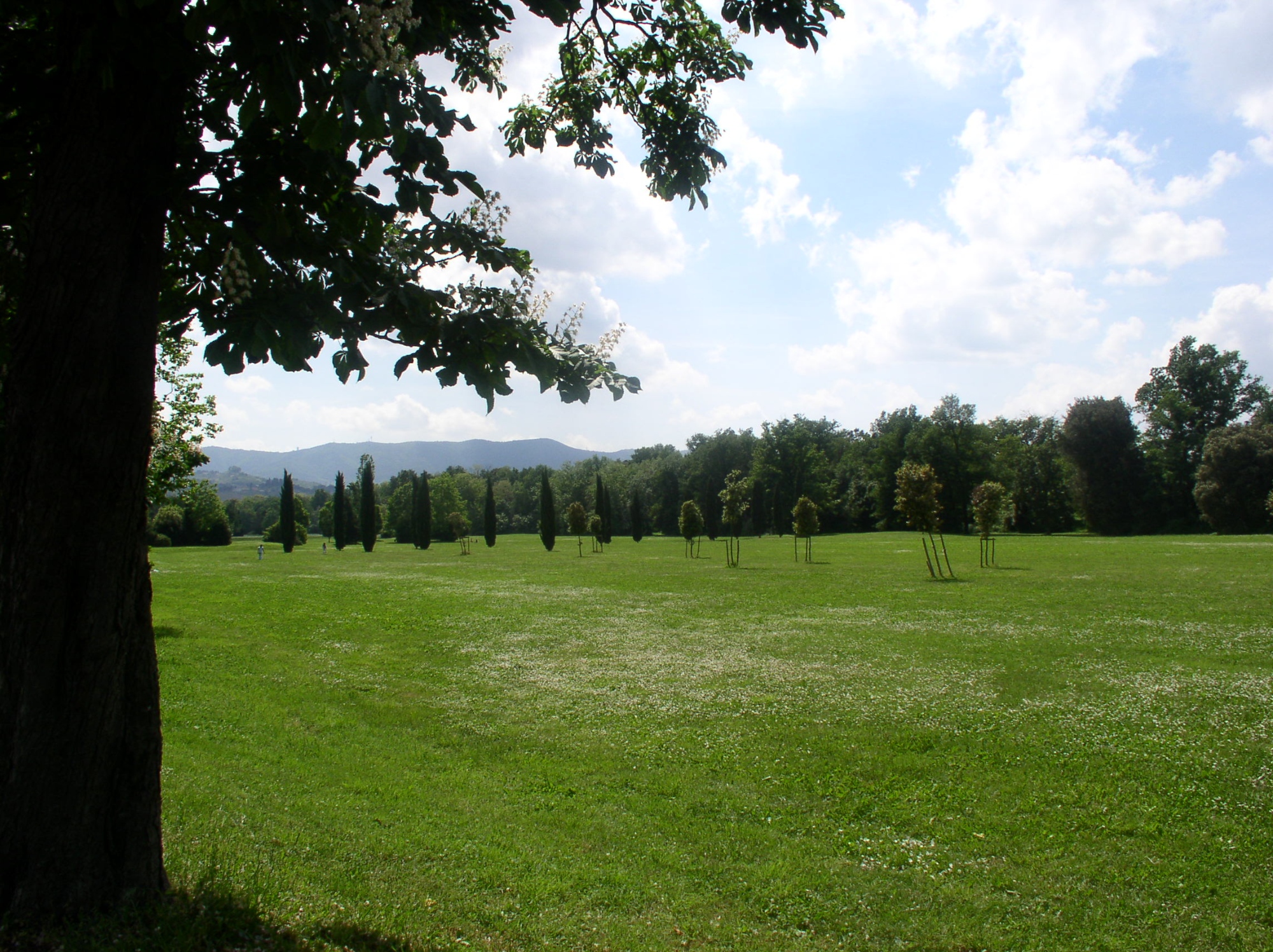Il parco delle Cascine di Tavola