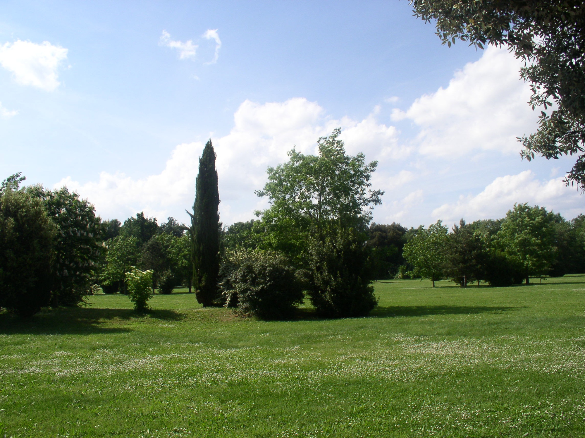 Nordic walking alle Cascine di Tavola a Prato