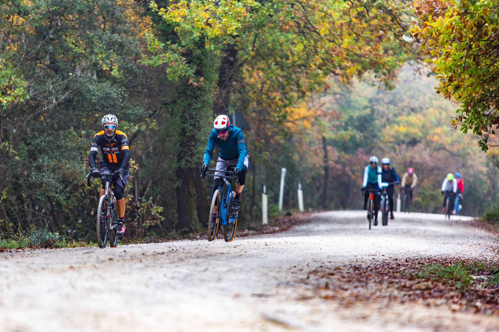 Le Vie del Bike