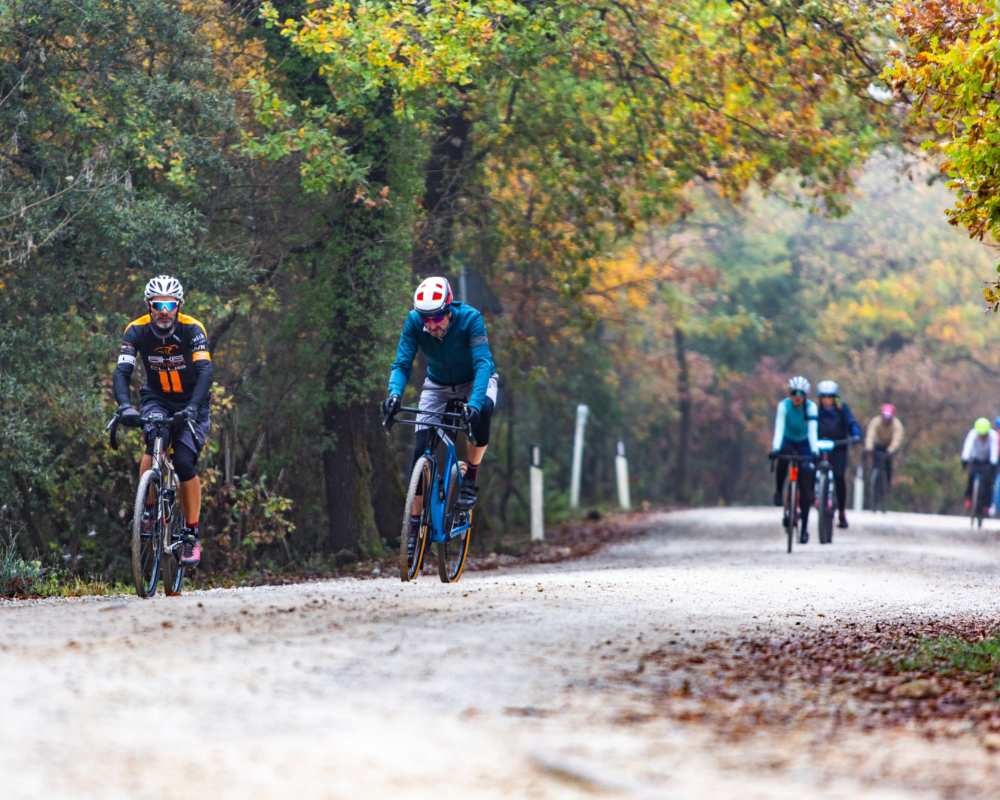Le Vie del Bike Le Vie del Bike