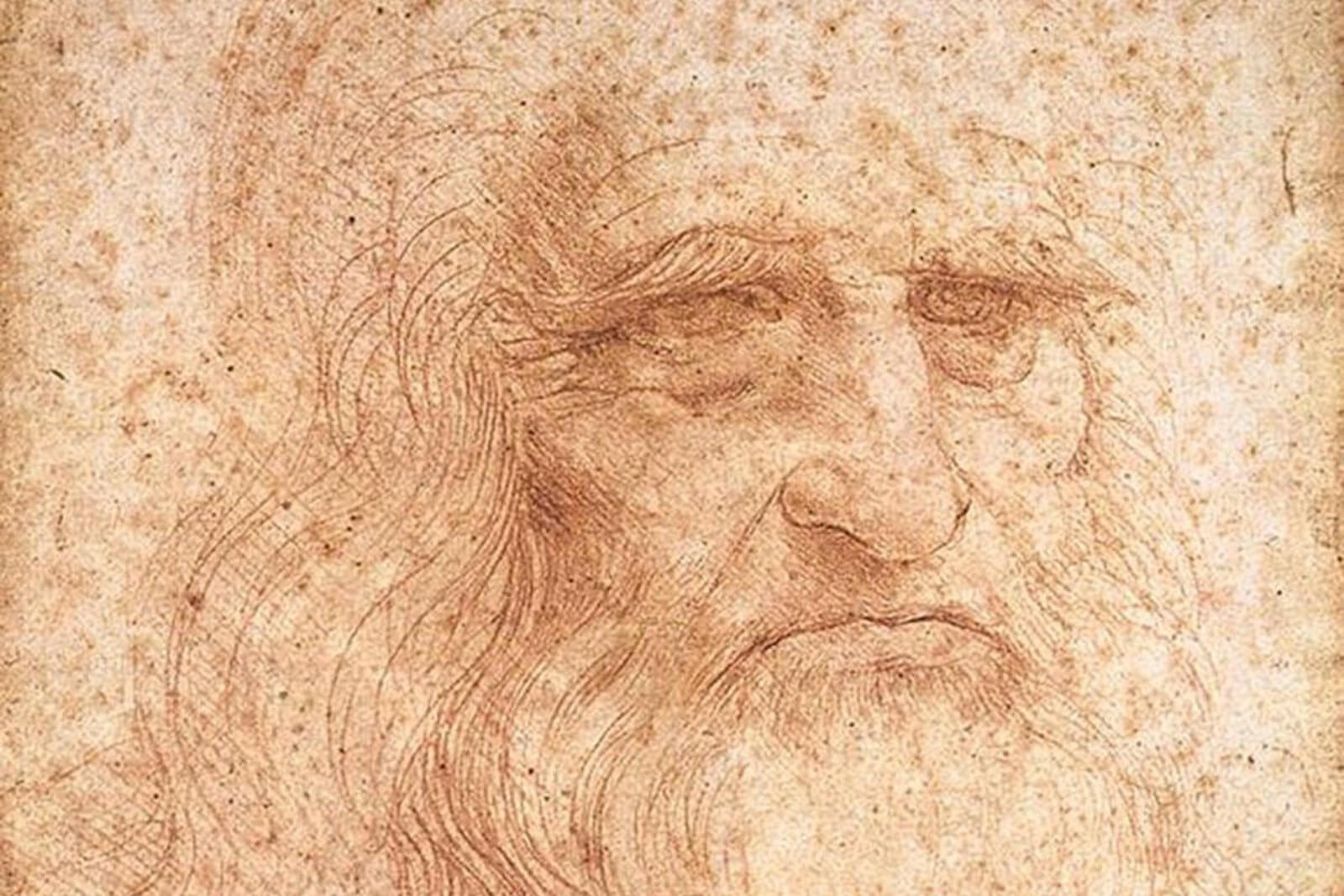 \"Leonardo da Vinci. Bellezza e invenzione.\"