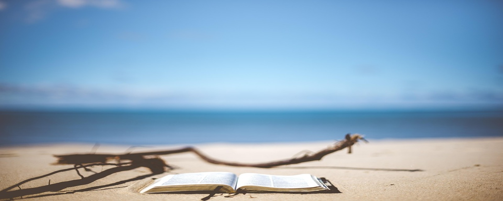 Libro aperto su spiaggia davanti al mare
