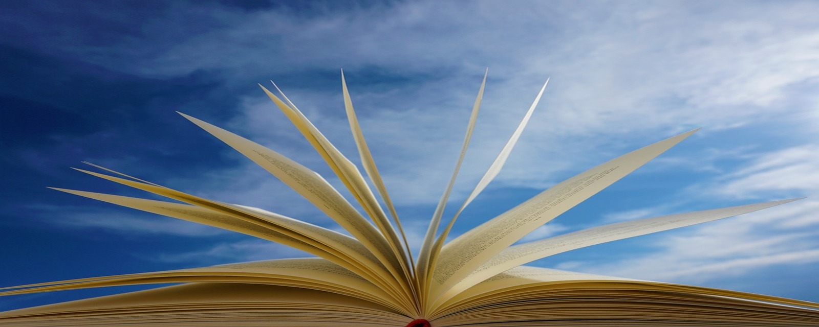 Libro pagine al Vento