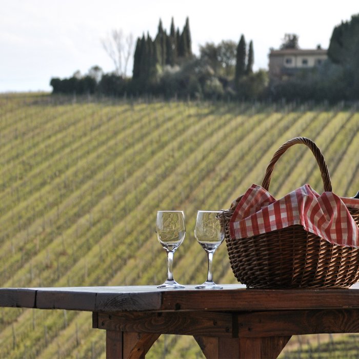 Visita guidata alla tomba Etrusca di Montefiridolfi nel Chianti e merenda in fattoria con vista su vigne