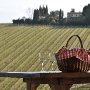 Visita guidata alla tomba Etrusca di Montefiridolfi nel Chianti e merenda in fattoria con vista su vigne